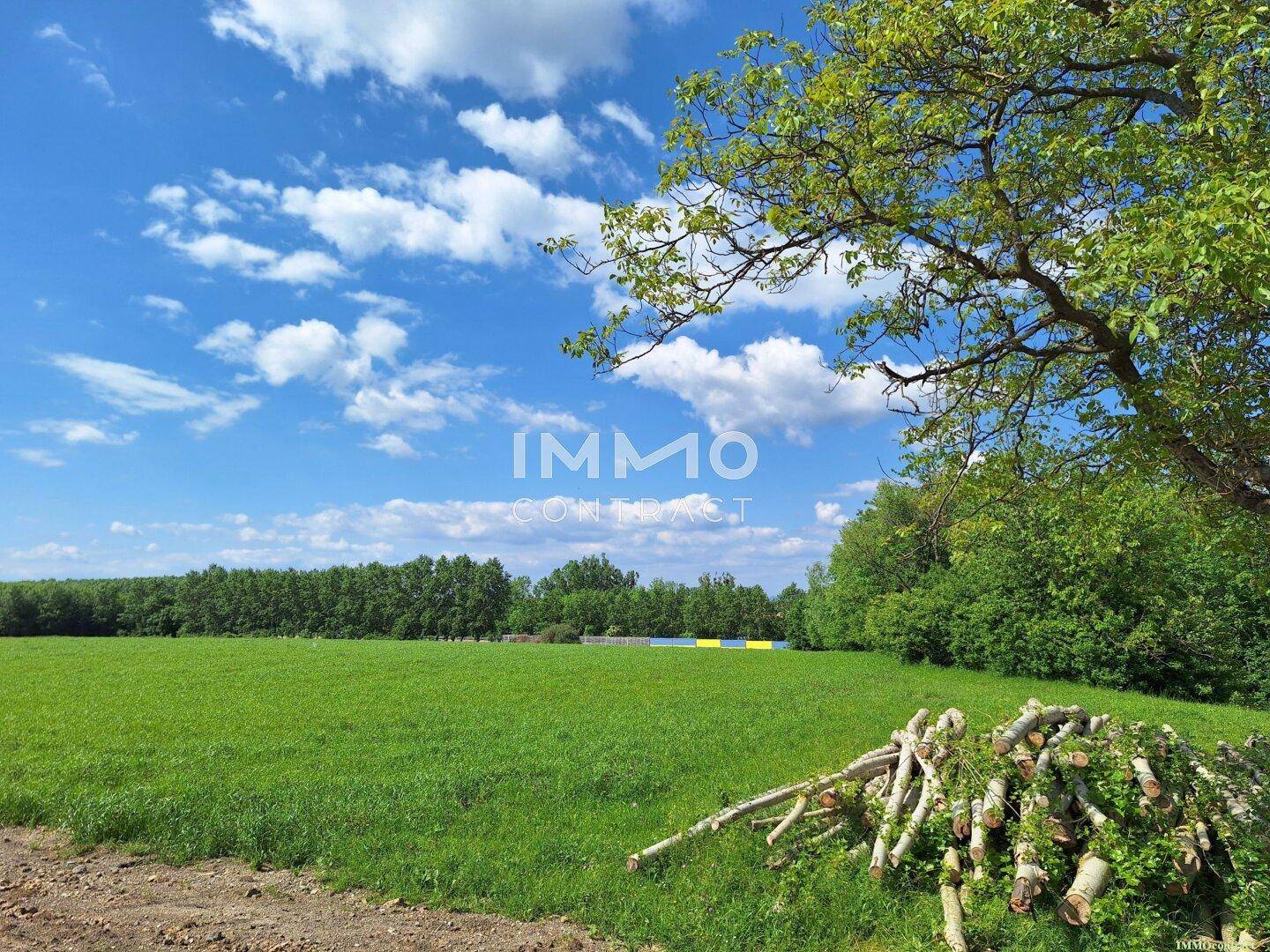 Idyllisches grünes Feld mit einem Baum im Vordergrund und einem Stapel Holz, umgeben von Natur.