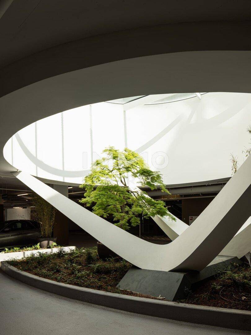 Innenhof mit natürlichem Licht und einem dekorativen Baum als zentrales Element.