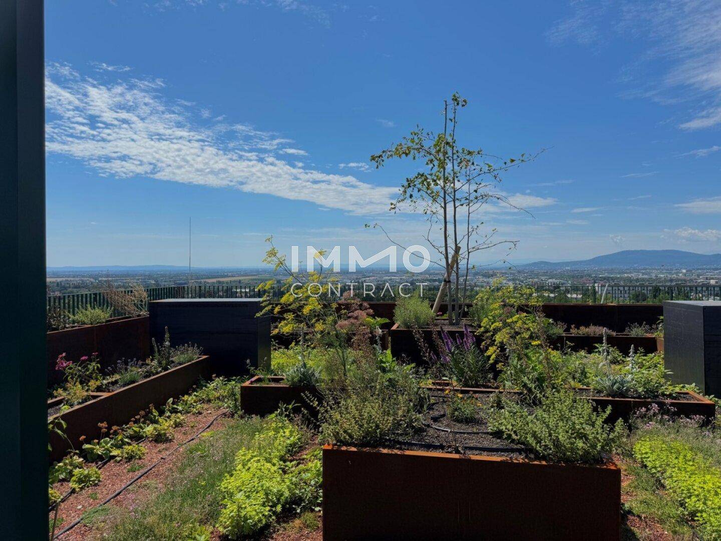 Begrünte Dachterrasse mit verschiedenen Pflanzen und weitem Blick über die Landschaft.
