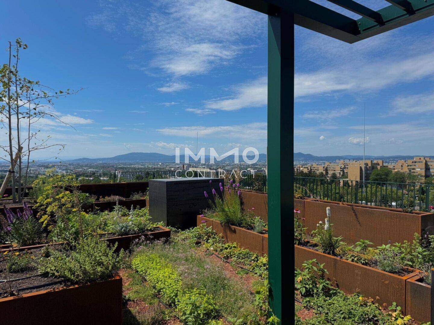Sonnige Dachterrasse mit vielfältiger Bepflanzung und Panoramablick auf die Umgebung.