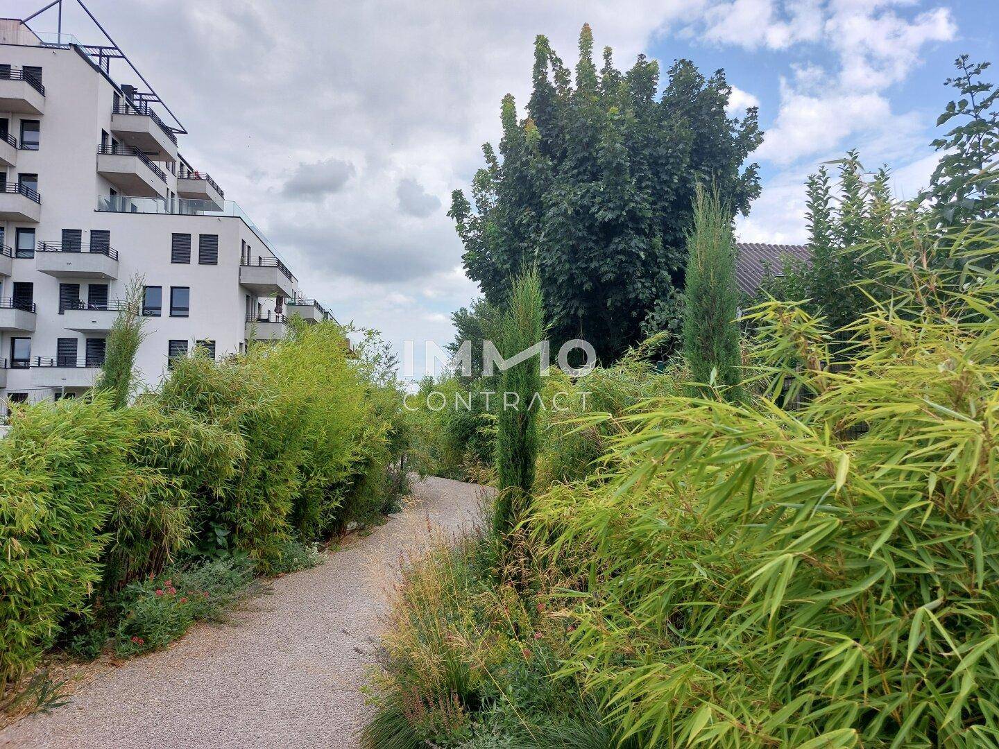 Grüner Gartenweg mit hohen Sträuchern und Bäumen, der zu modernen Wohngebäuden führt.