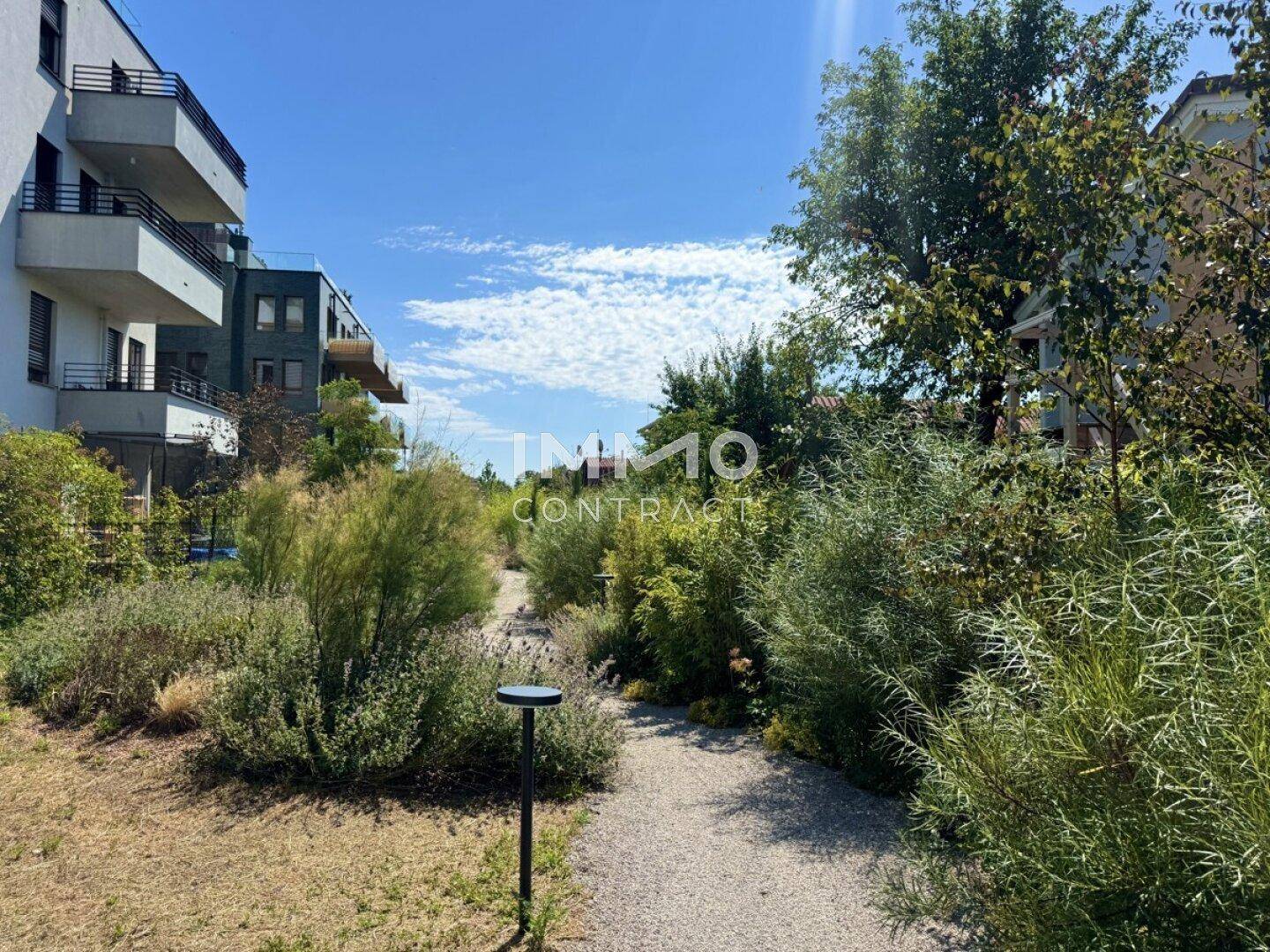 Gepflegter Gartenweg mit üppiger Bepflanzung neben einem modernen Wohngebäude unter blauem Himmel.
