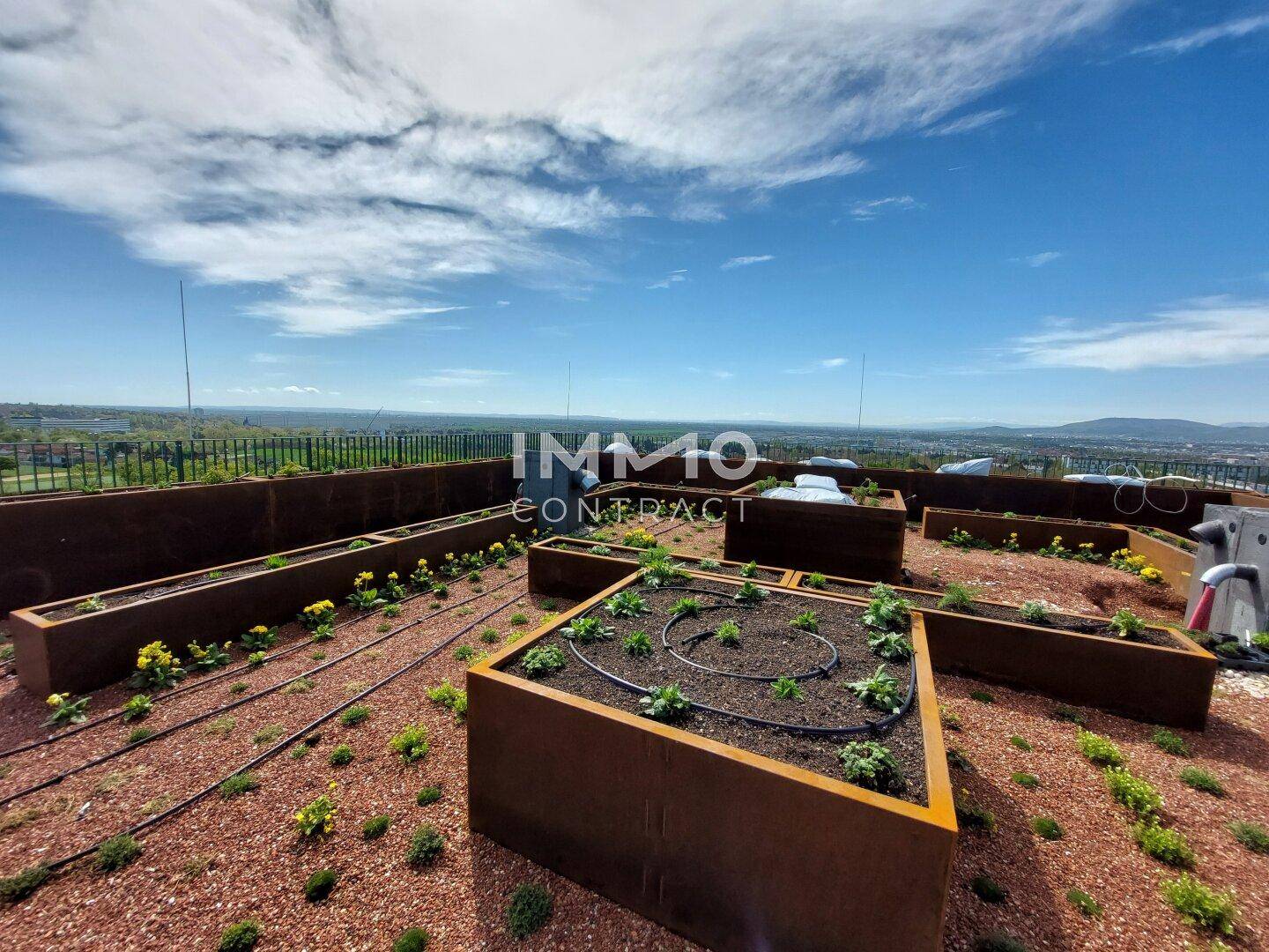 Begrünte Dachterrasse mit Hochbeeten und weitem Panoramablick über die Landschaft.