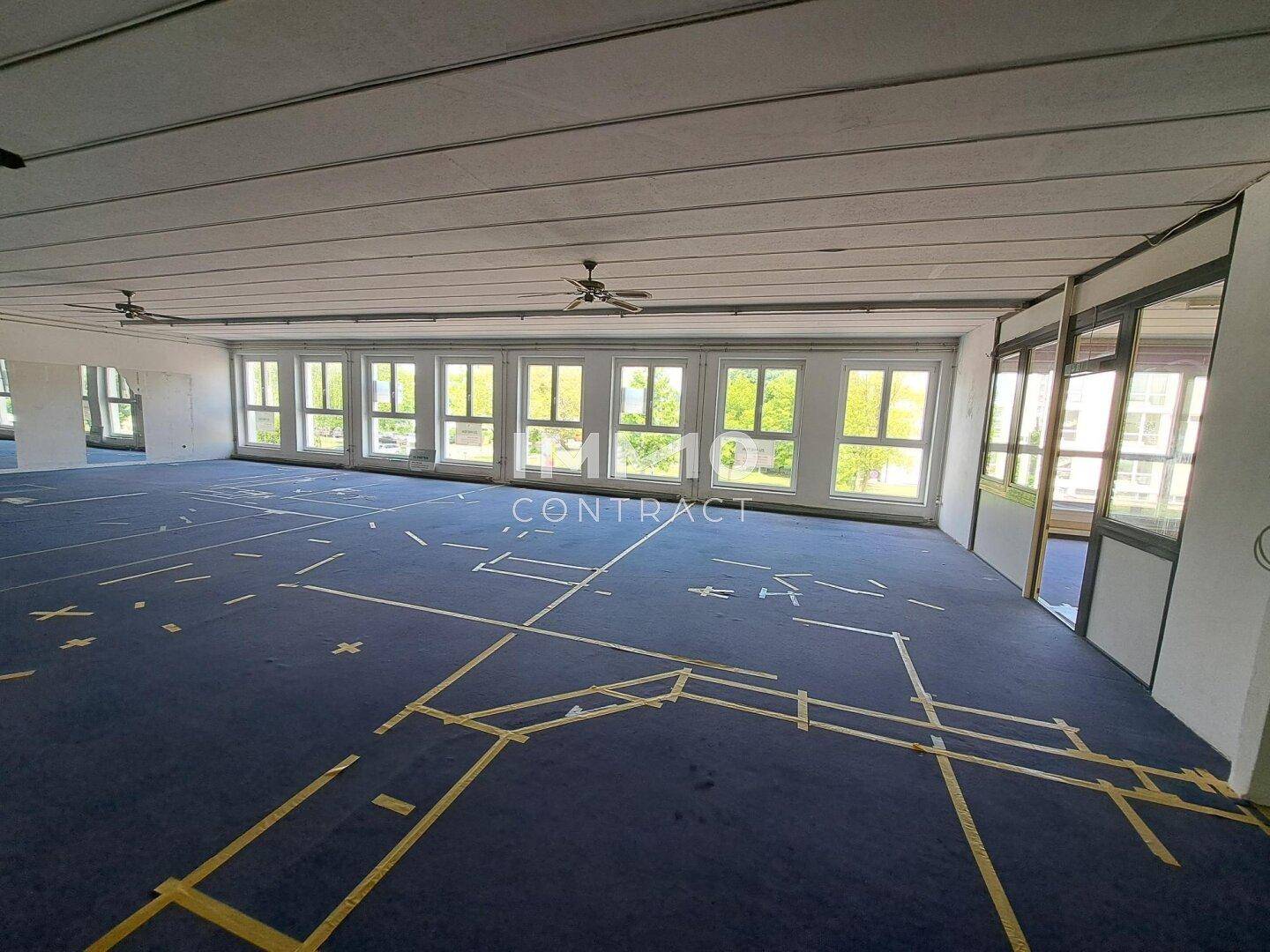 Heller, offener Büroraum mit blauen Teppichboden, vielen Fenstern und Deckenventilatoren.