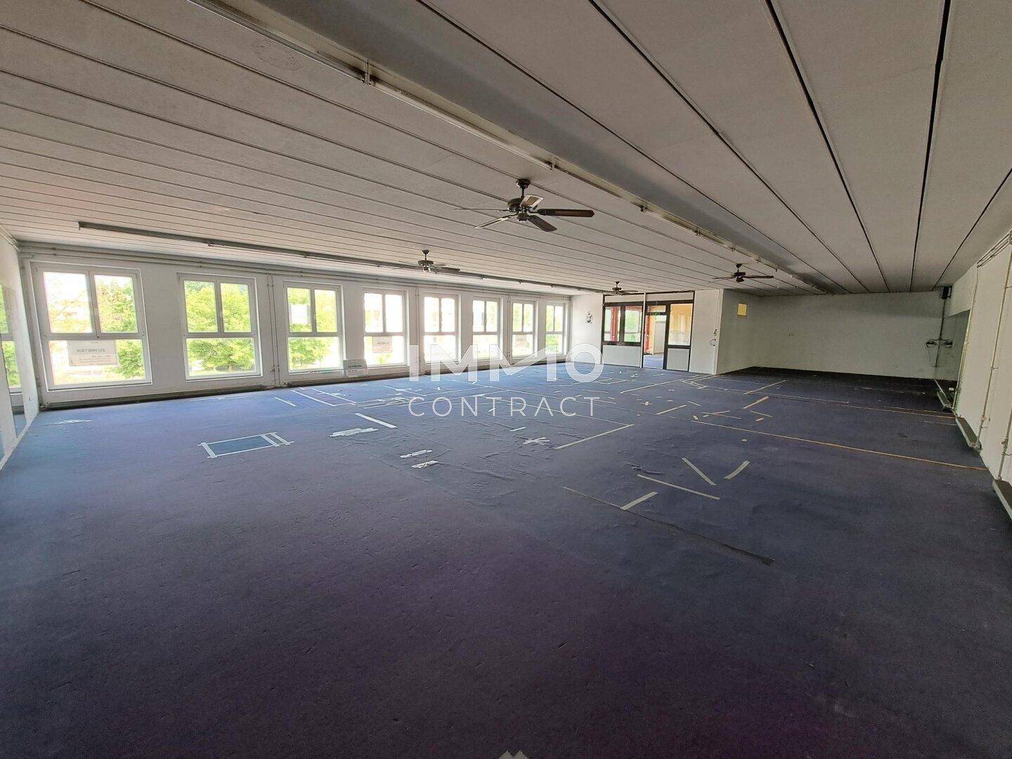 Großer, offener Büroraum mit blauem Teppichboden, vielen Fenstern und Deckenventilatoren.