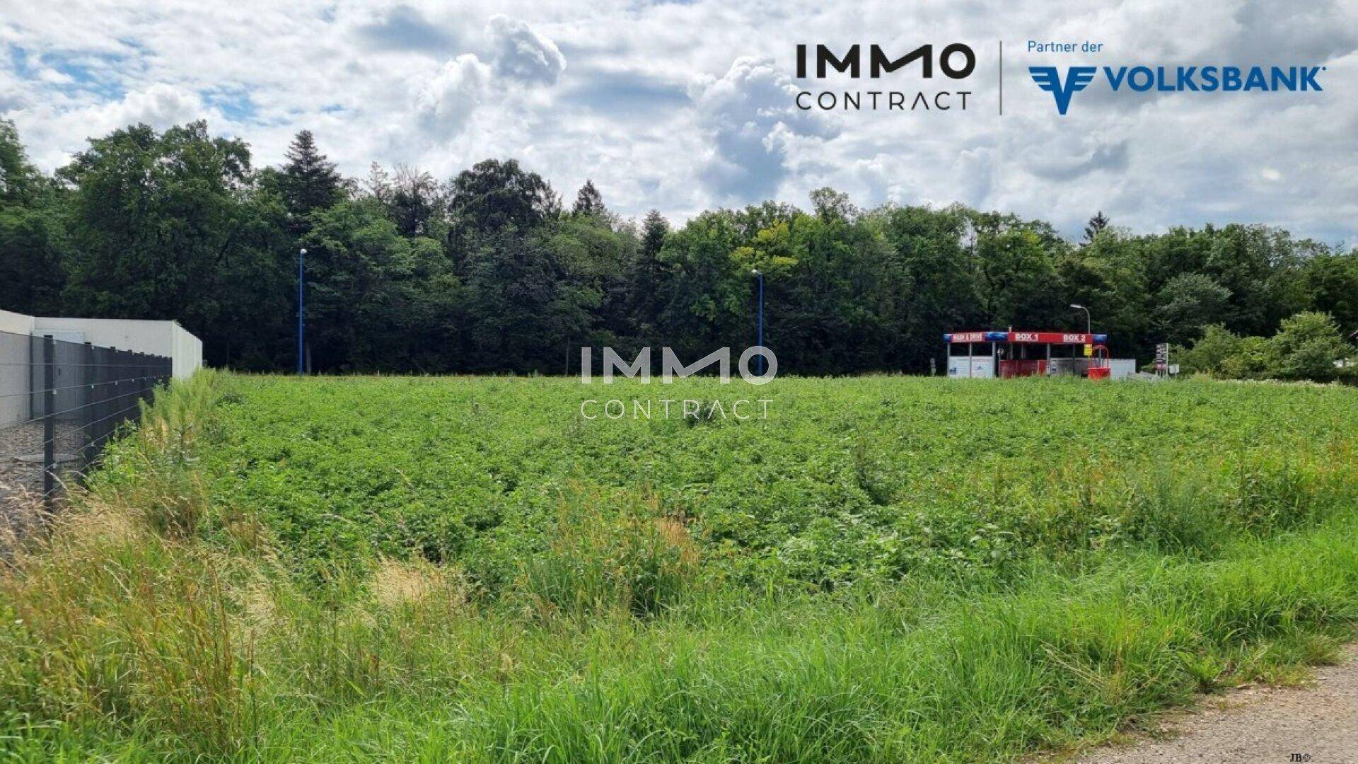 Grünes Grundstück mit dichter Vegetation und angrenzendem Wald unter bewölktem Himmel.
