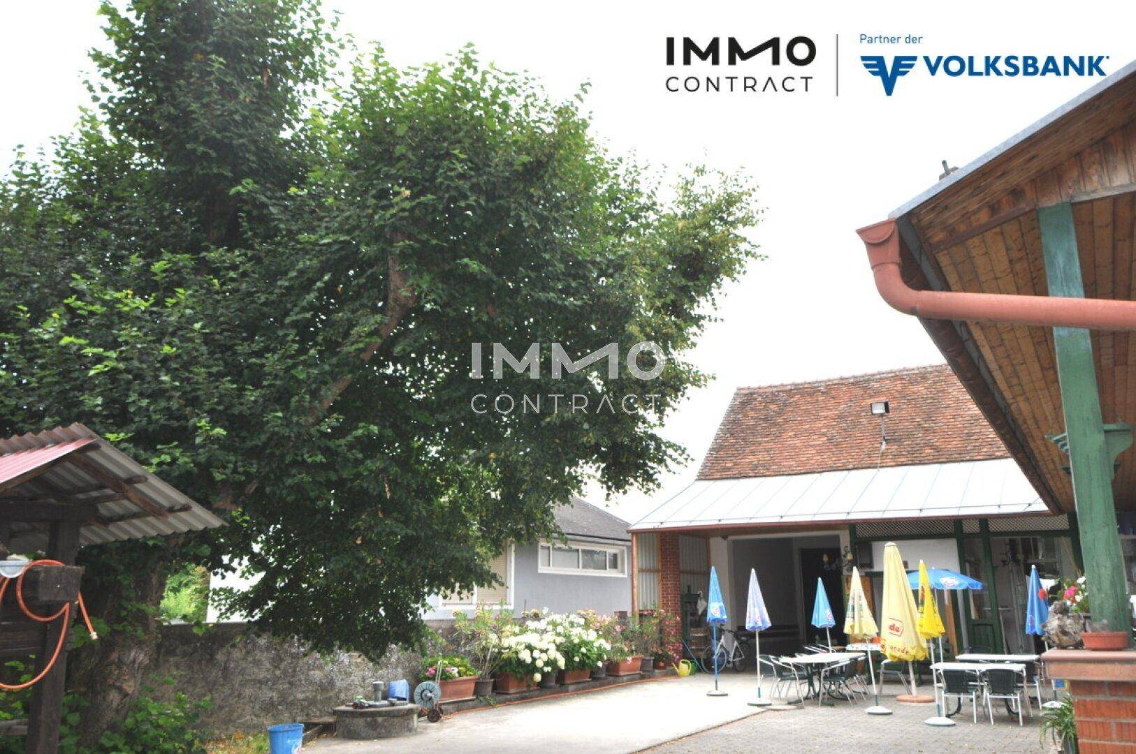 Blick auf den Innenhof mit einem großen Baum, Sitzgelegenheiten und Gebäudeteilen.