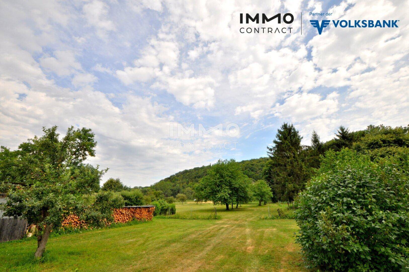 Grüne Wiese mit Bäumen und einem Holzstapel am Rand, umgeben von Hügeln.