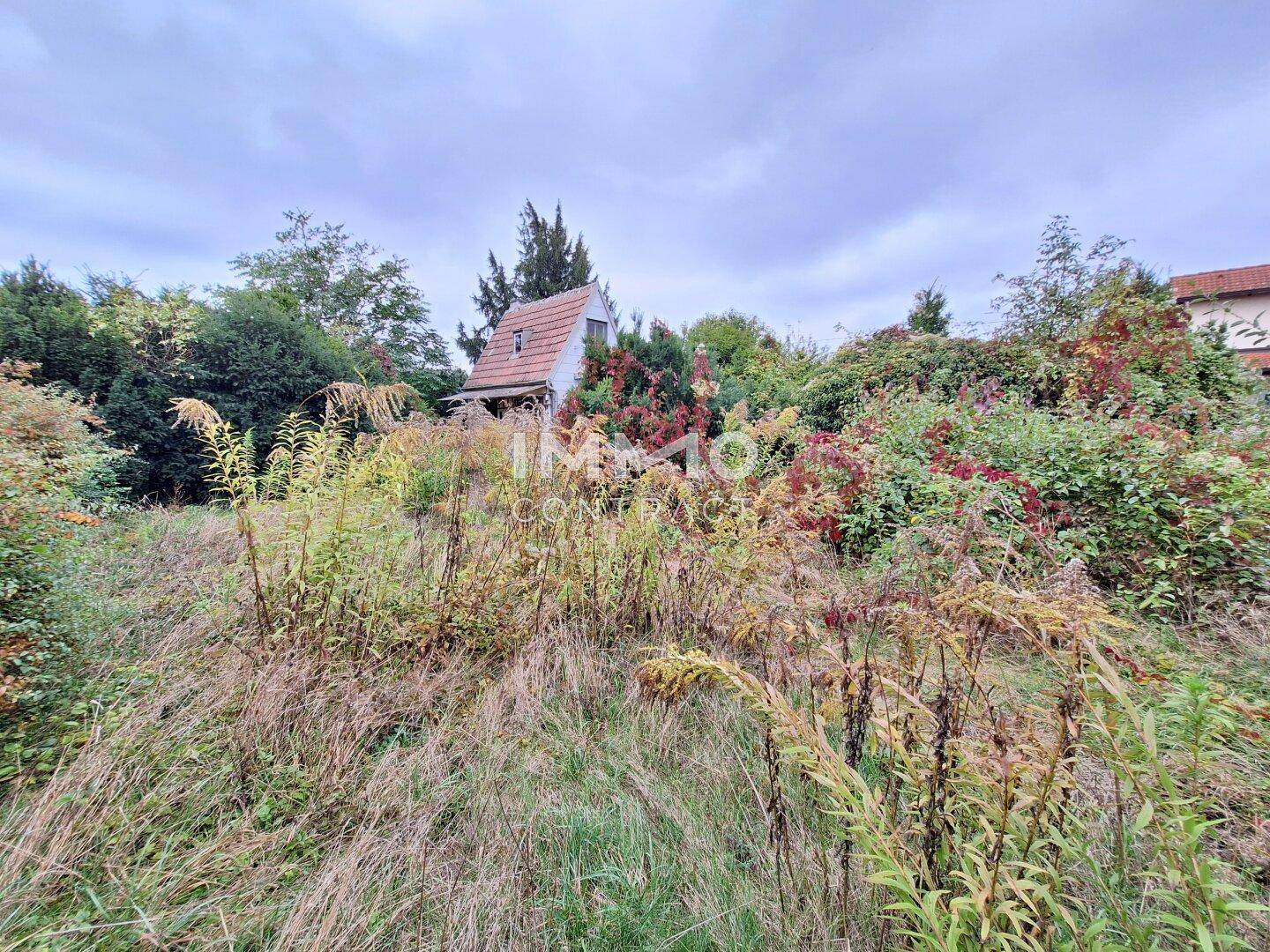 Verwilderter Gartenbereich mit hohem Gras und Büschen, im Hintergrund ein weiteres Haus.