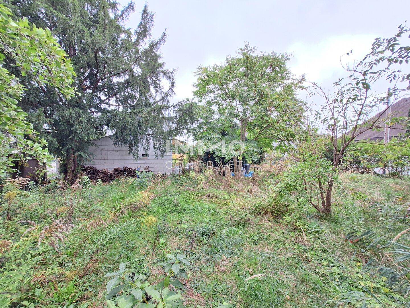 Großer, verwachsener Garten mit verschiedenen Bäumen und Sträuchern.