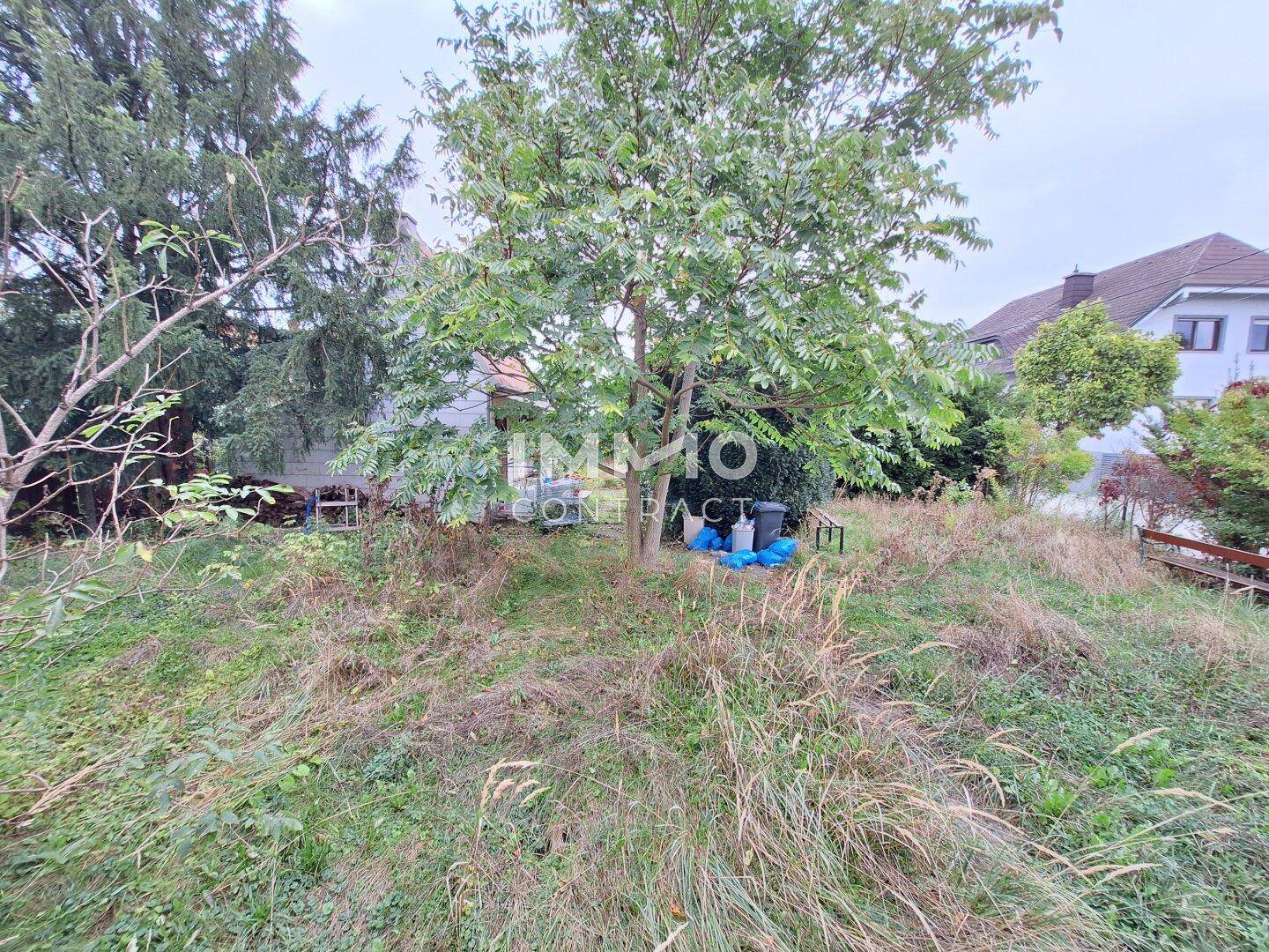 Weitläufiger, unkultivierter Gartenbereich mit Bäumen und Blick auf die Umgebung.