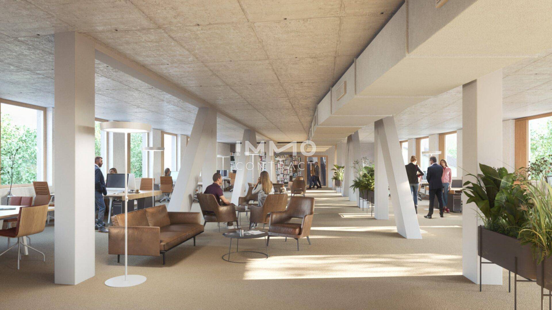 Geräumiger Großraumbüro-Bereich mit modernen Möbeln, Pflanzen und viel Tageslicht.