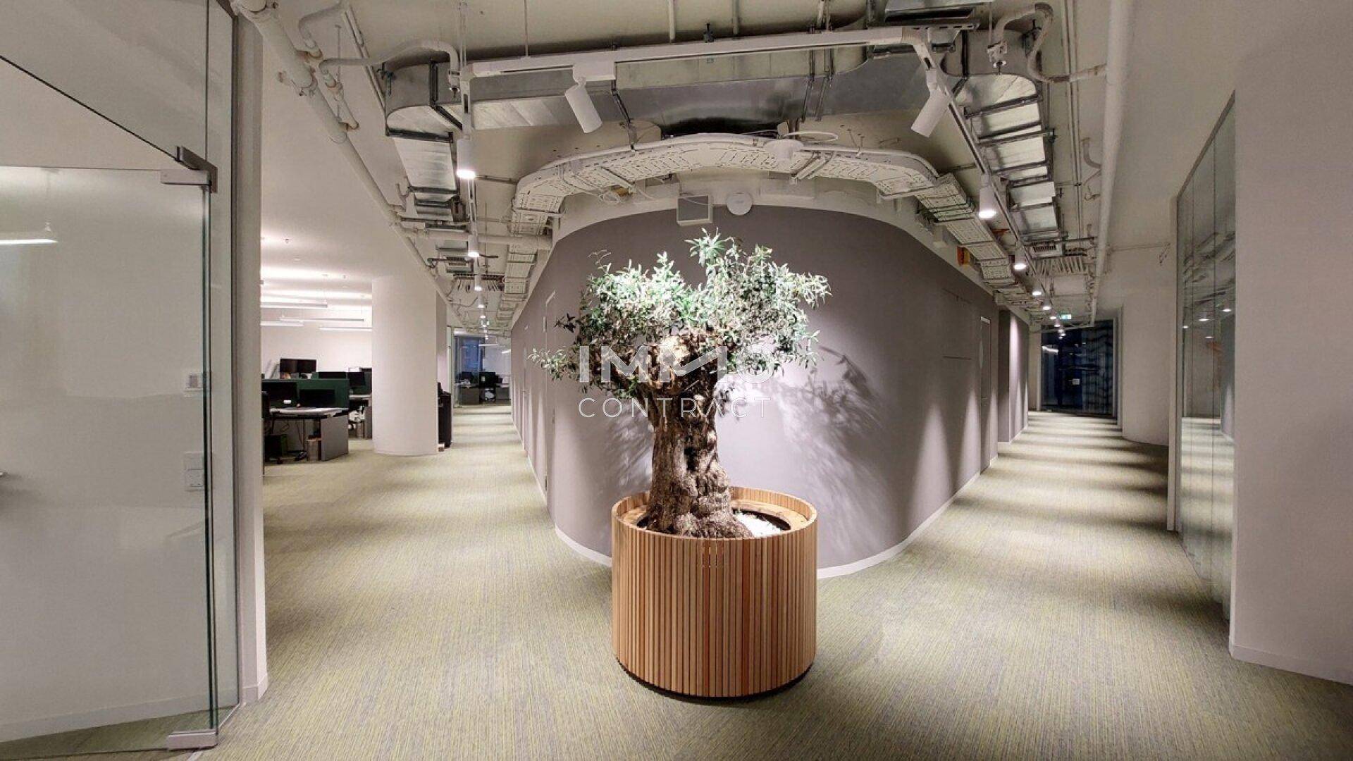 Heller Bürogang mit dekorativer Pflanze in einem Holztopf und freiliegenden Leitungen an der Decke.