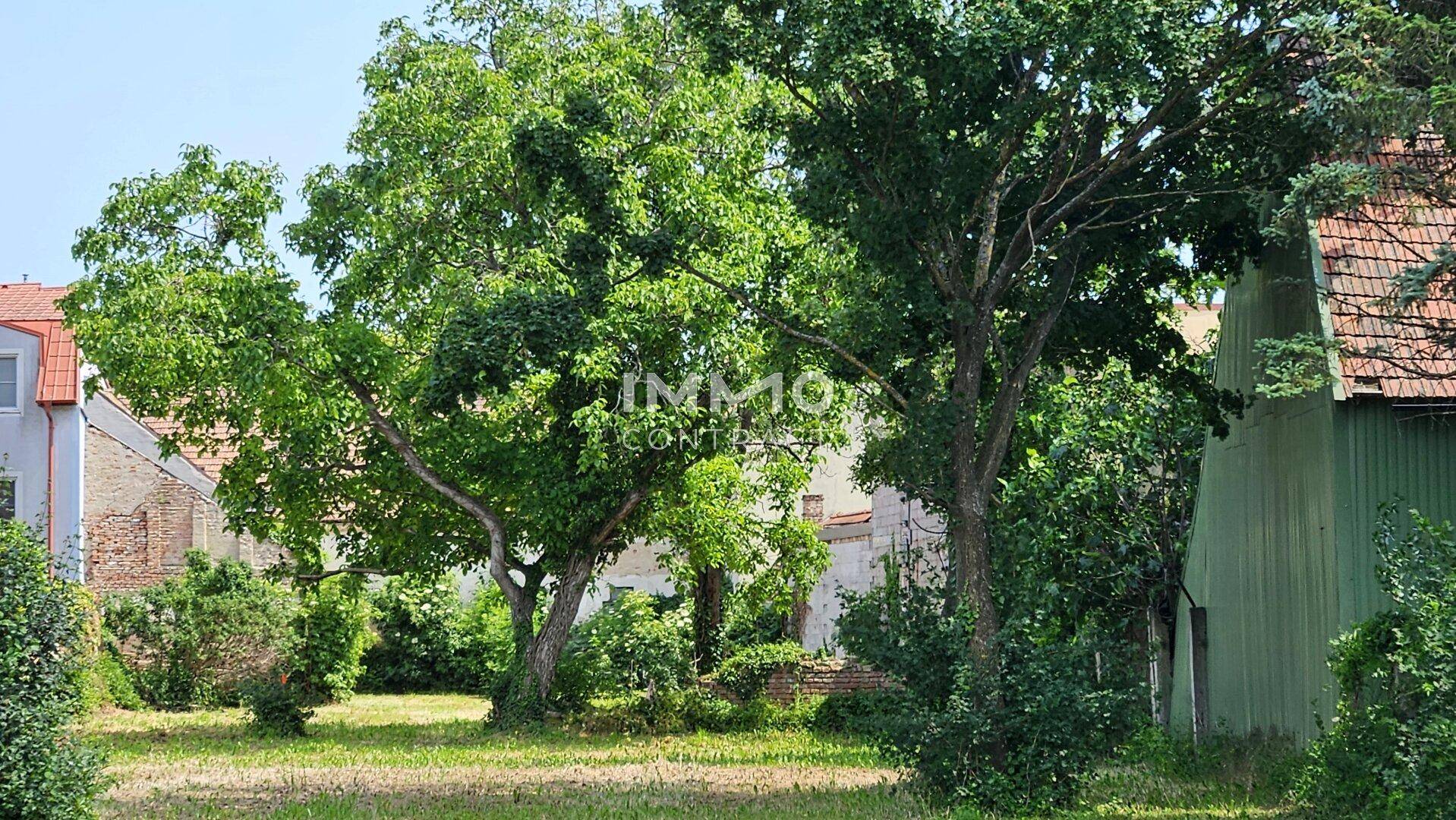 Keine Zusatzkosten für Planung &amp; Anschlüsse: 3,014 m² großes Bauträgergrundstück mit bewilligten Wohnprojekt - Ansicht 4