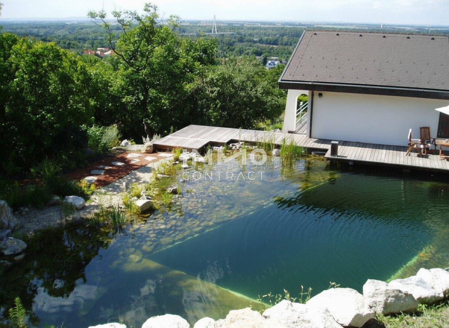 Klarer Naturpool mit Steinen und Holzdeck, umgeben von grüner Landschaft.