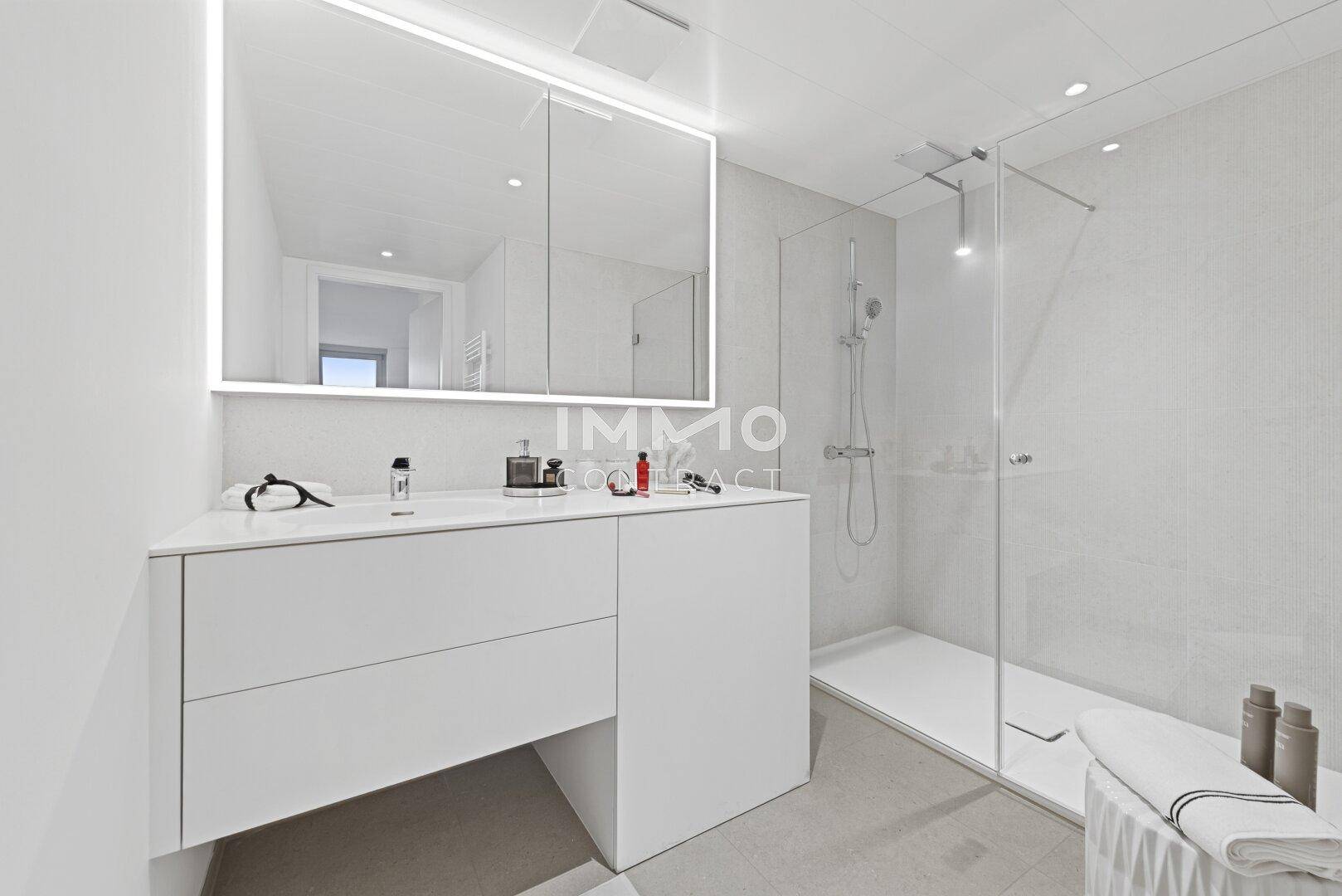 Modernes Badezimmer mit begehbarer Dusche, elegantem Waschtisch und beleuchtetem Spiegelschrank.