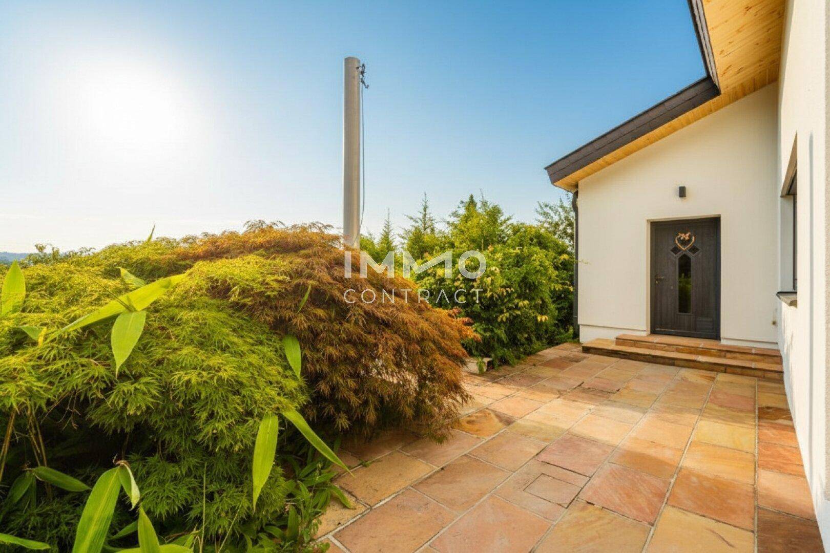 Eingangsbereich des Hauses mit gepflegten Pflanzen und sonnigem Vorplatz.