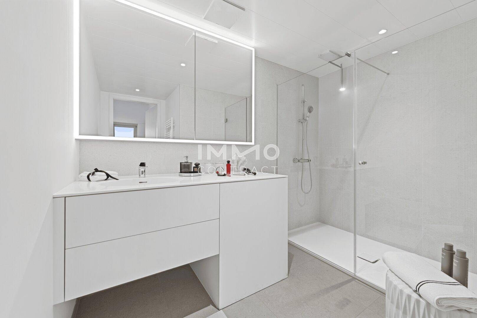 Modernes Badezimmer mit großem Spiegelschrank, Einzelwaschbecken und einer geräumigen begehbaren Dusche.