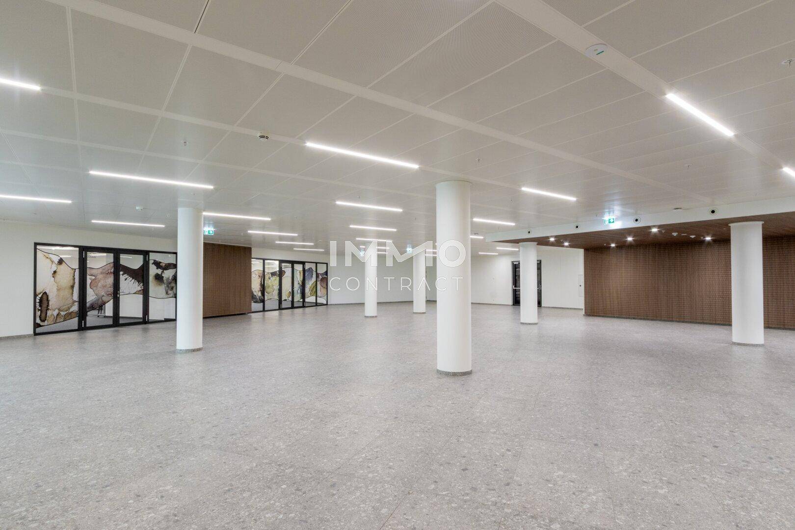 Großer, offener Bürobereich mit Säulen, abgehängter Decke und modernen Lichtleisten.