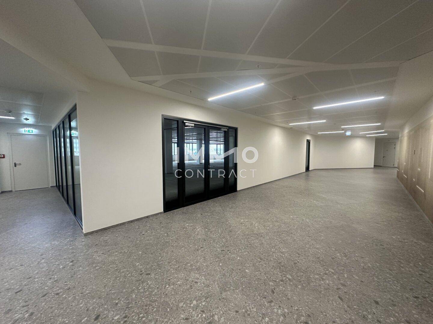 Langer, leerer Flur oder offener Bürobereich mit Glastüren und abgehängter Decke.