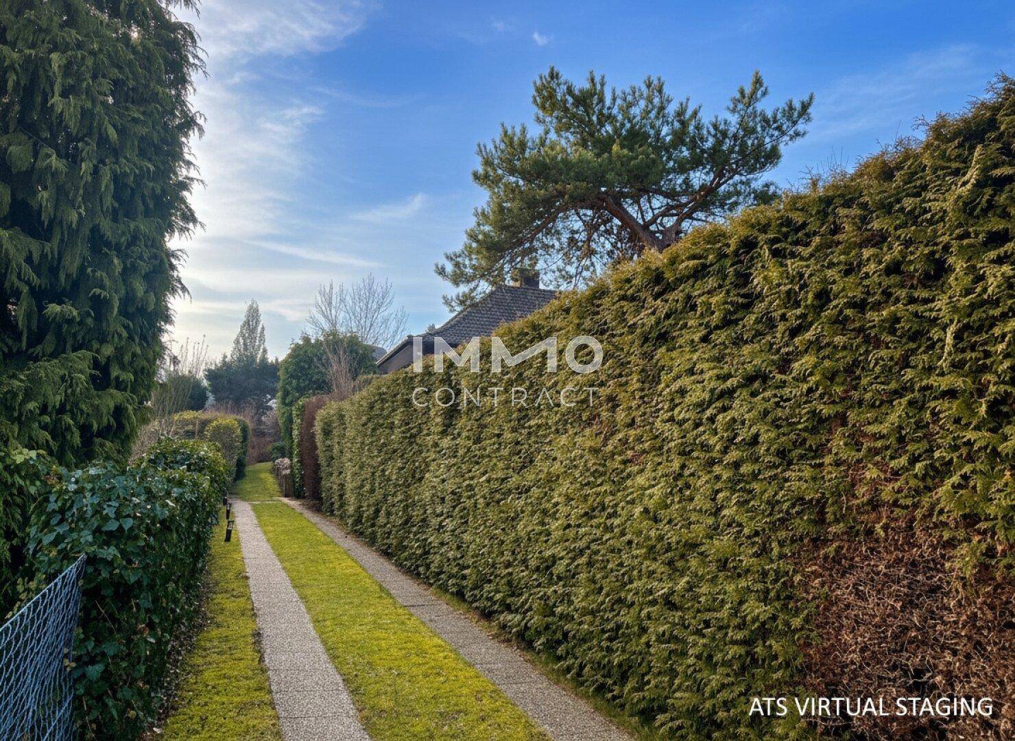 Langer, von hohen Hecken gesäumter Zufahrtsweg zum Grundstück.