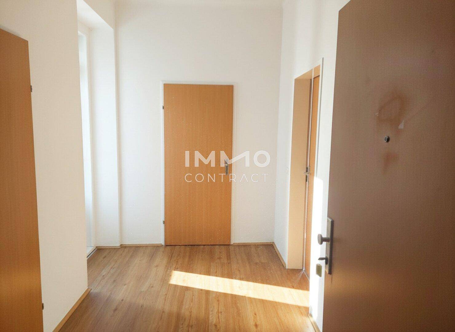 Eingangsbereich oder Flur mit Laminatboden und Holztüren.