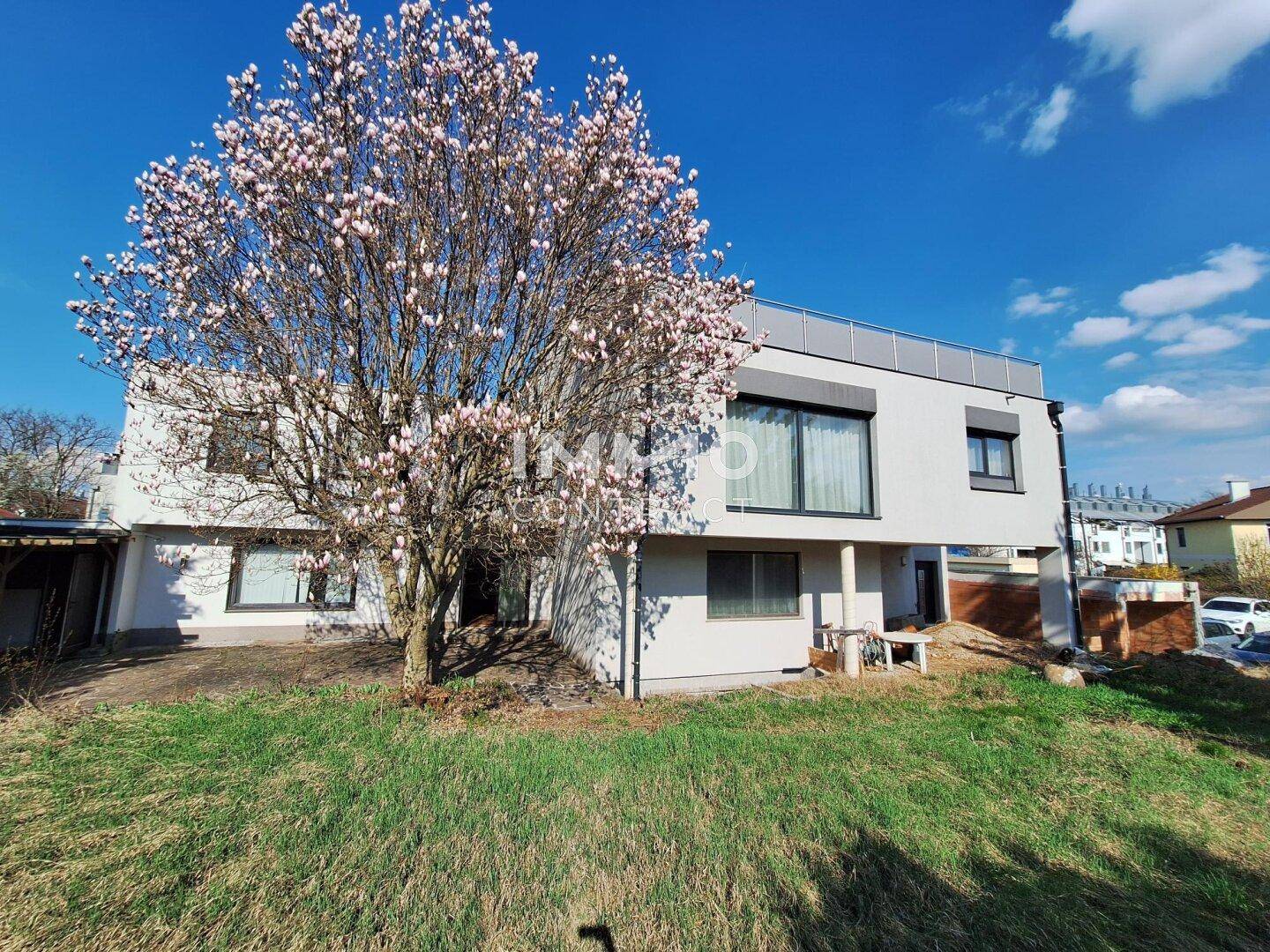 Modernes Wohnhaus mit blühendem Baum und Gartenbereich unter blauem Himmel.