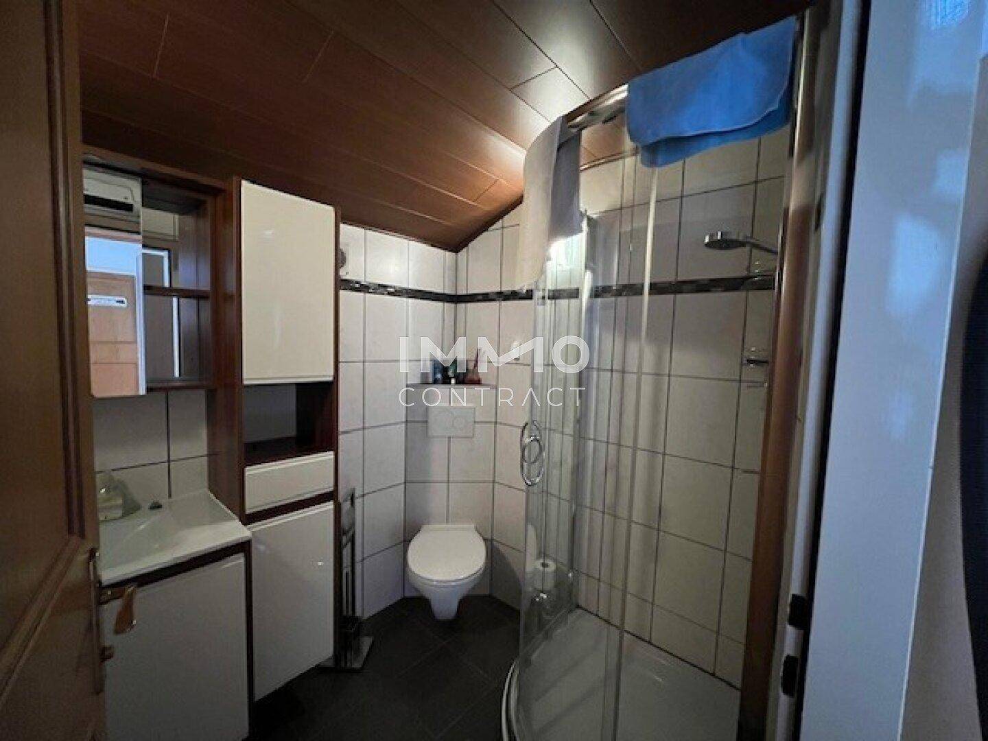 Kleines Badezimmer mit Dusche, WC und Waschbecken, ausgestattet mit Holzdeckenverkleidung.