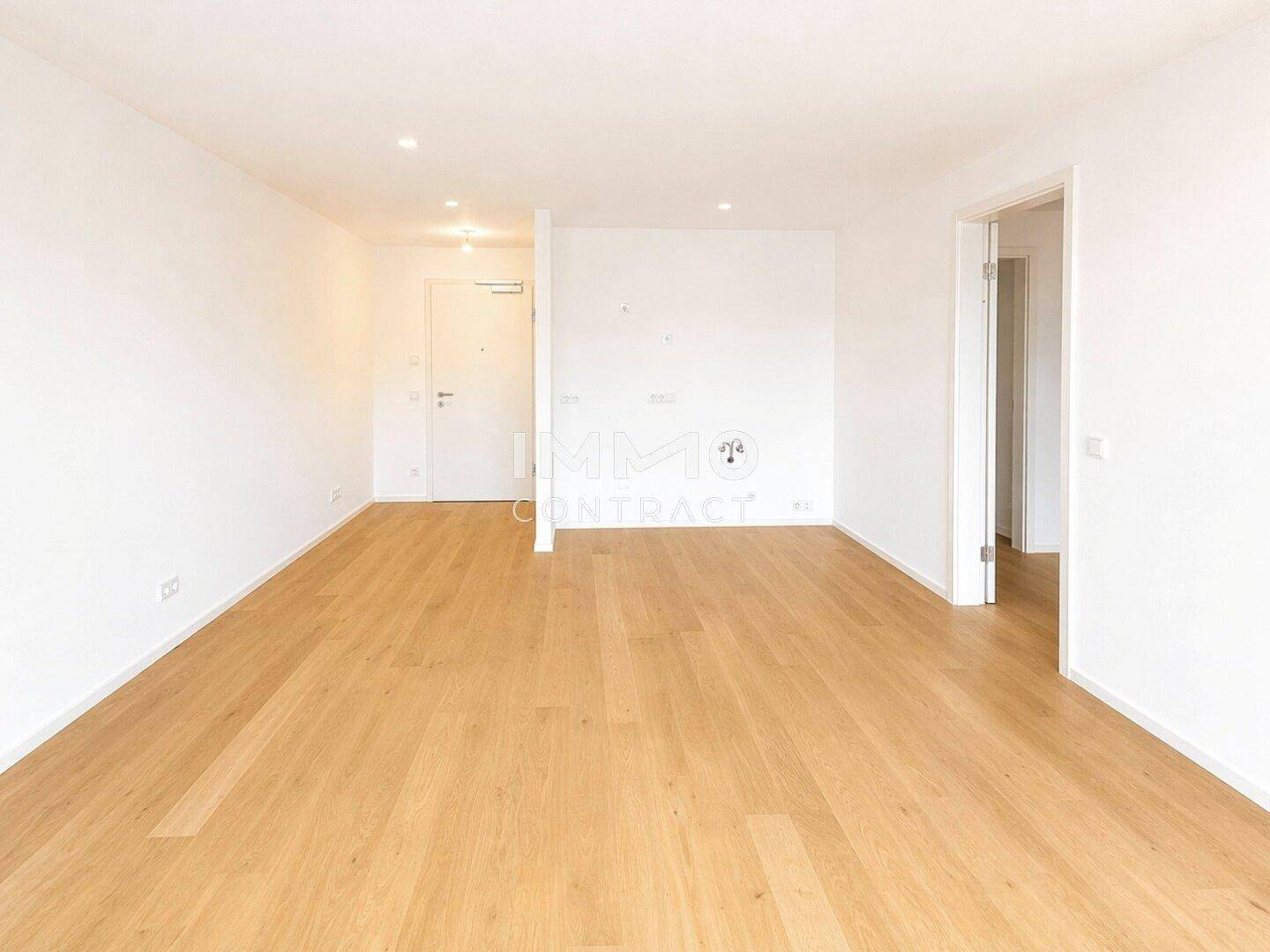 Geräumiger Eingangsbereich mit hellem Holzboden und weiß gestrichenen Wänden.