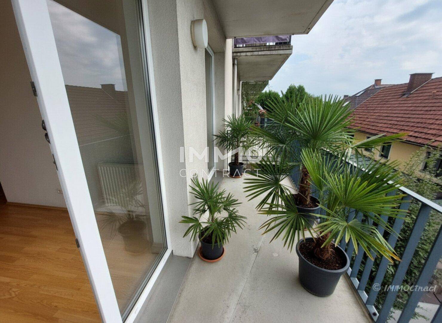 Balkon mit Topfpflanzen und Blick auf die umliegenden Dächer und Häuser der Nachbarschaft.