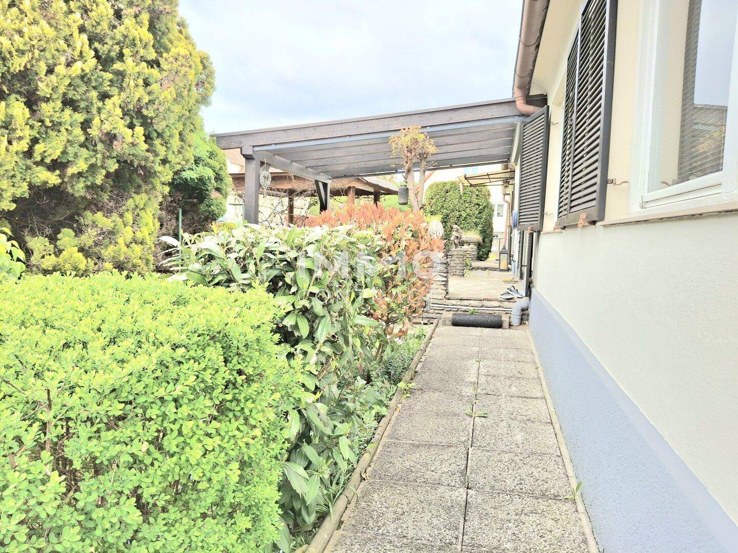 Seitlicher Gartenweg entlang des Hauses, umgeben von dichten Hecken und Sträuchern.