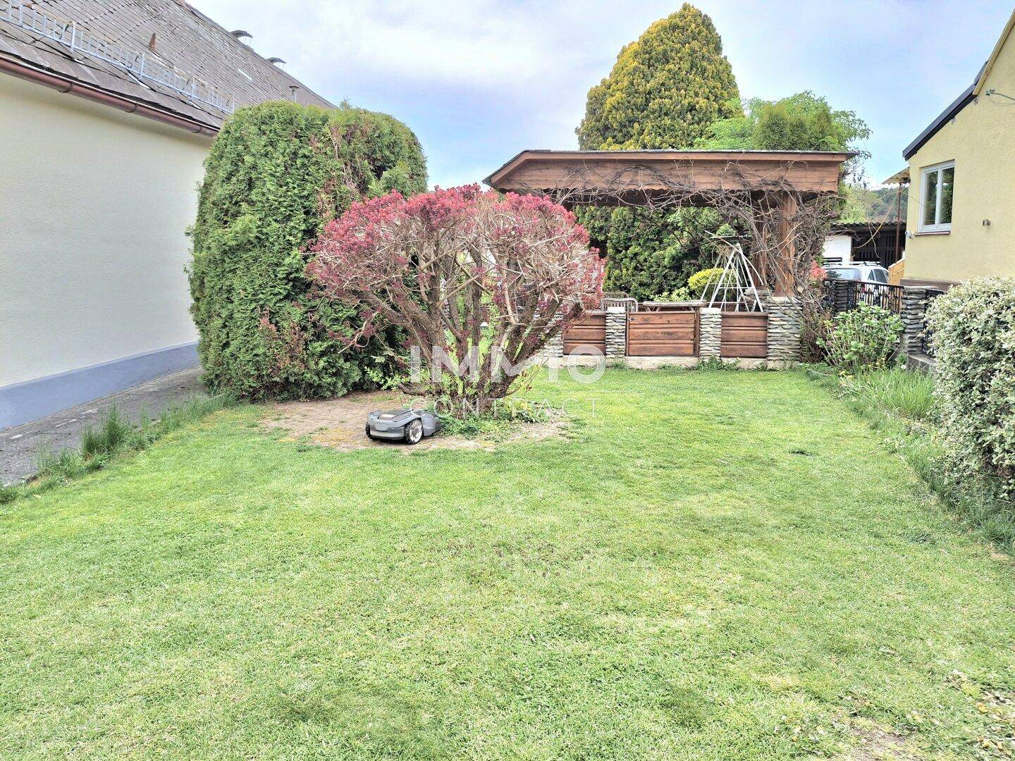 Gepflegter Rasenbereich im Garten mit einem kleinen Baum und einem Mähroboter.