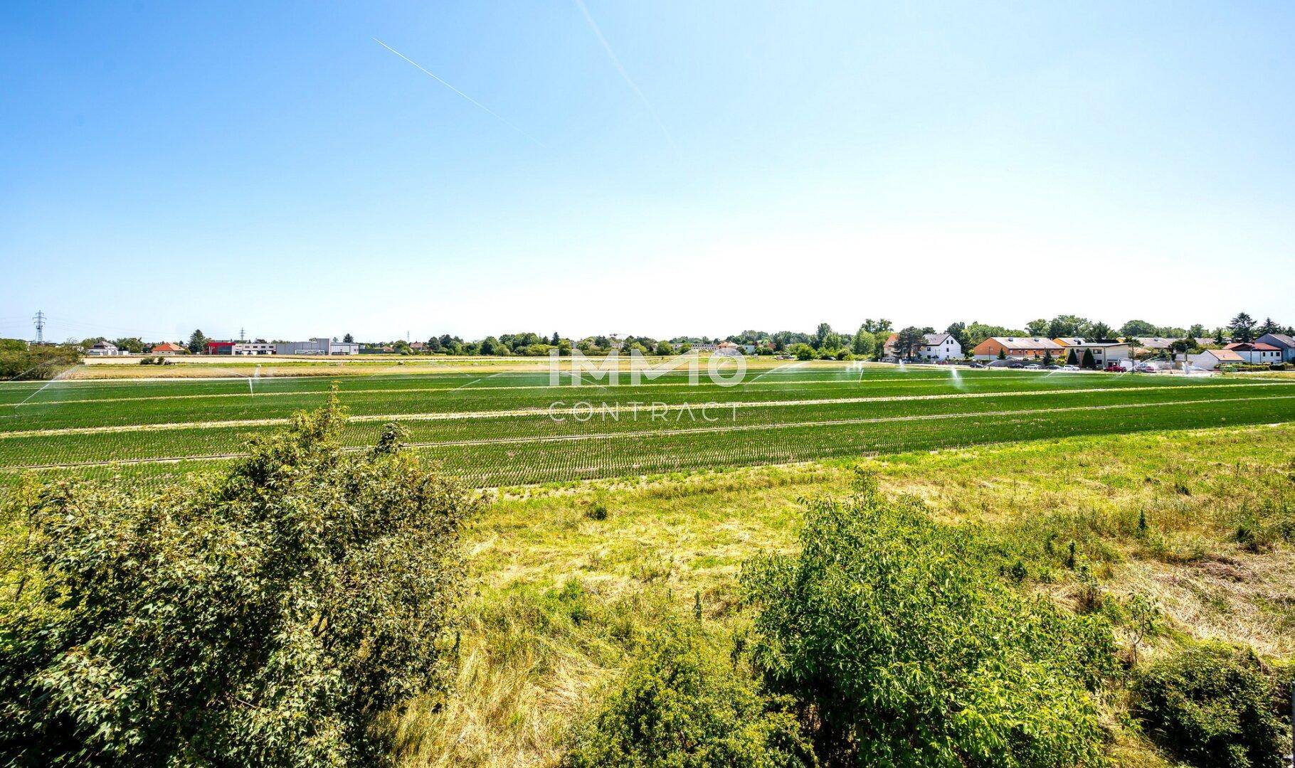 Weitläufiger Blick über grüne Felder und die ländliche Umgebung unter blauem Himmel.