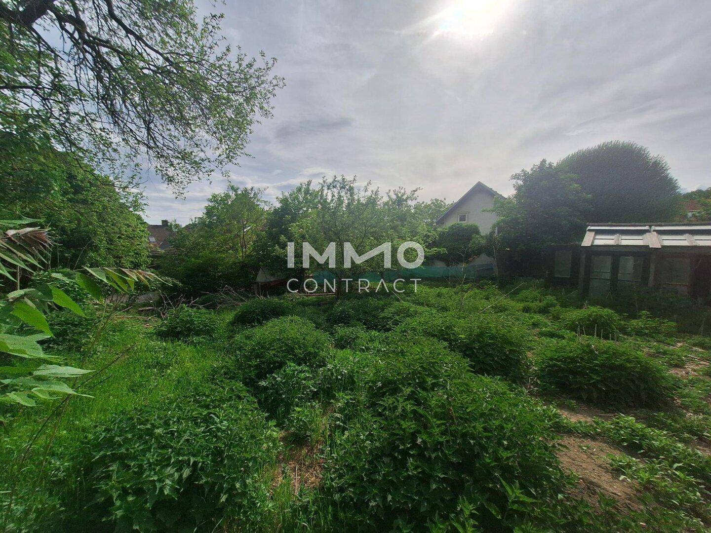 Großer, naturbelassener Gartenbereich mit viel Grün und einem Gewächshaus im Hintergrund.