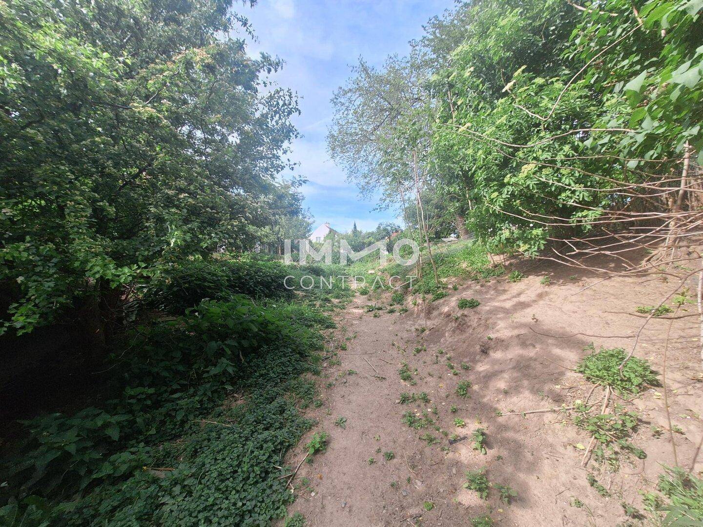 Schmaler Pfad führt durch dichte Vegetation und Bäume, umgeben von Natur.