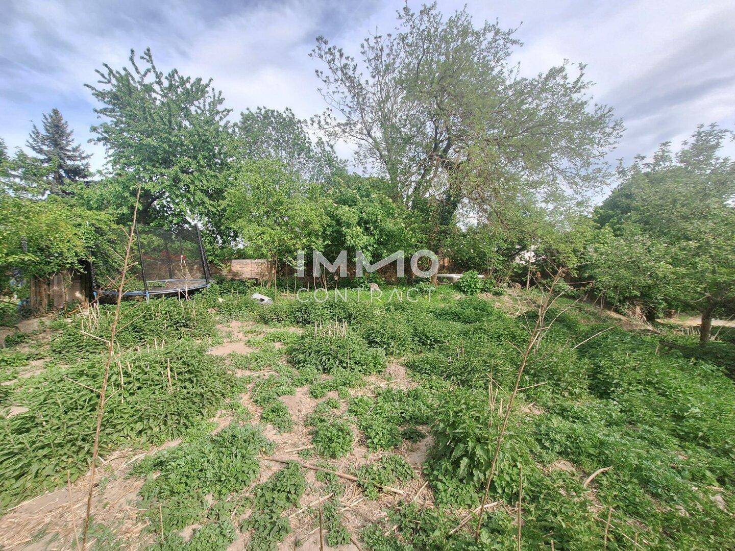Naturbelassener Gartenbereich mit üppigem Grün und einem Trampolin im hinteren Teil.