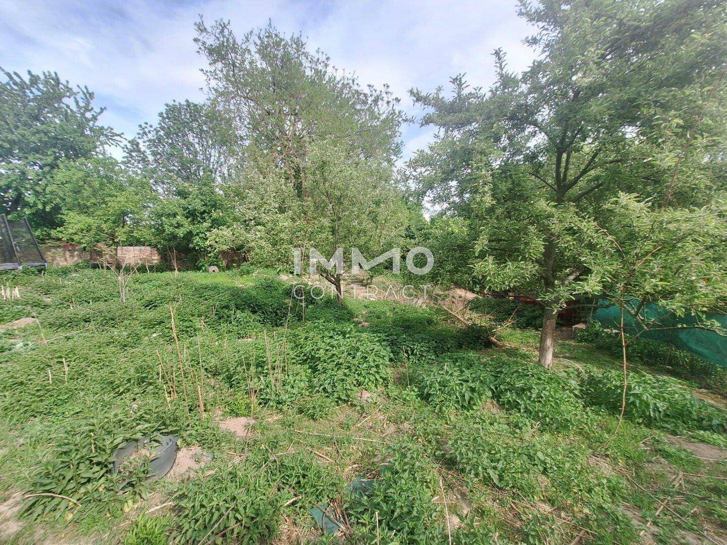 Weitläufiger, naturbelassener Gartenbereich mit verschiedenen Bäumen und Sträuchern.