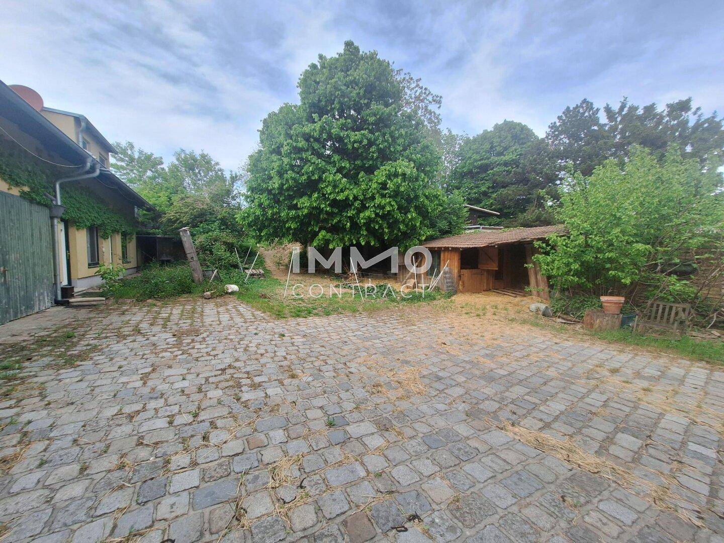 Weitläufiger gepflasterter Hofbereich mit einem Holzschuppen und großen Bäumen im Hintergrund.