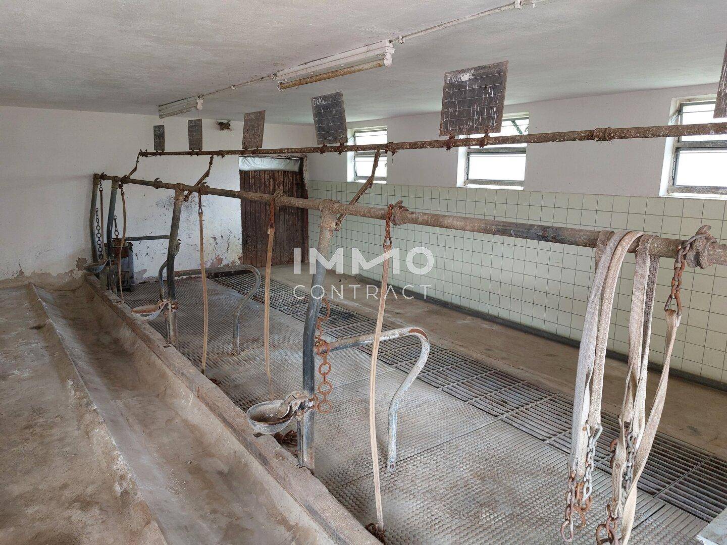 Alter Stallraum mit Fliesenwänden und Metallgittern, möglicherweise für Tierhaltung genutzt.
