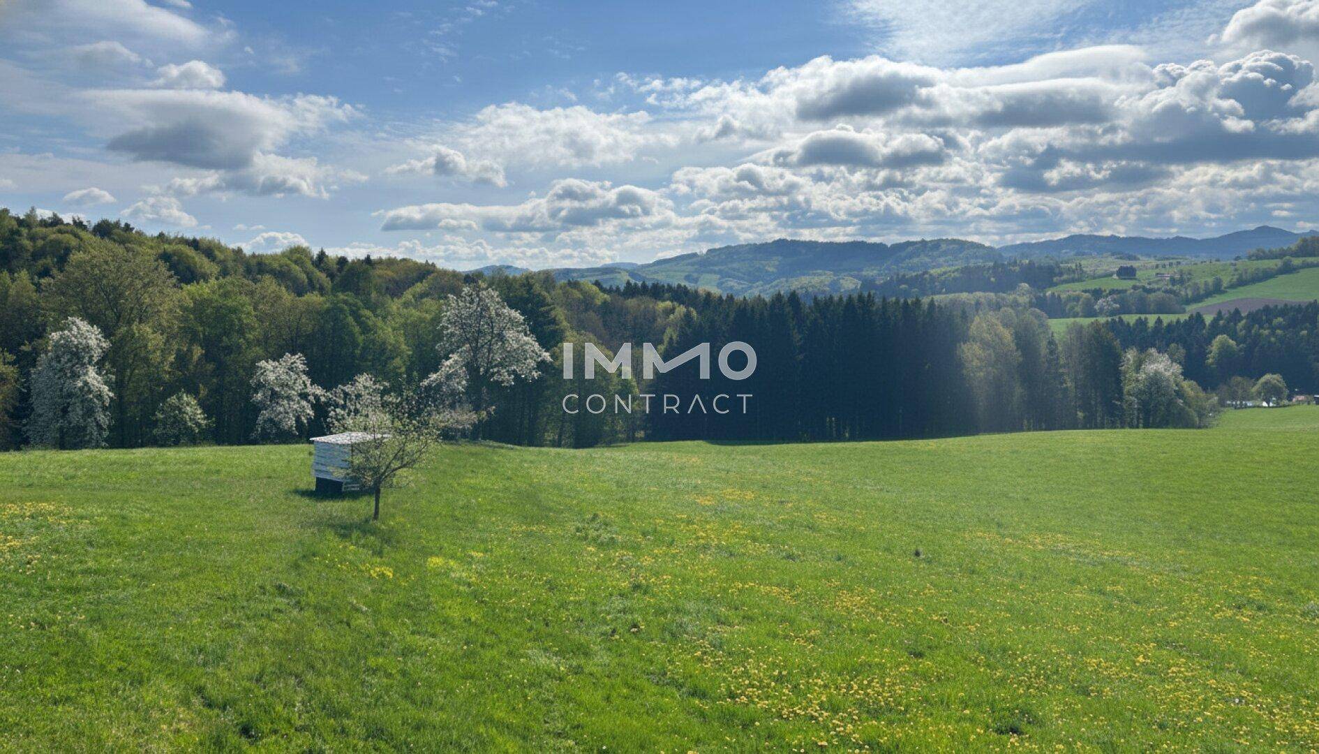 Weite grüne Wiesenlandschaft mit blühenden Bäumen und sanften Hügeln im Hintergrund unter blauem Himmel.
