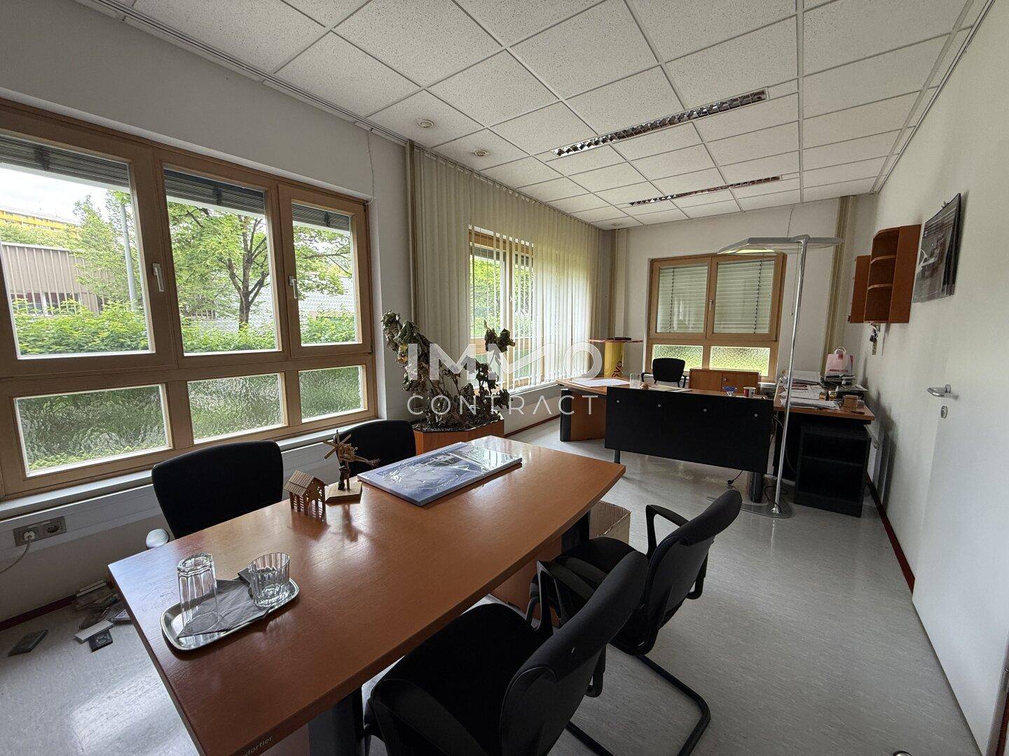 Helles Büro mit mehreren Arbeitsplätzen, Holzfenstern und Blick ins Grüne.