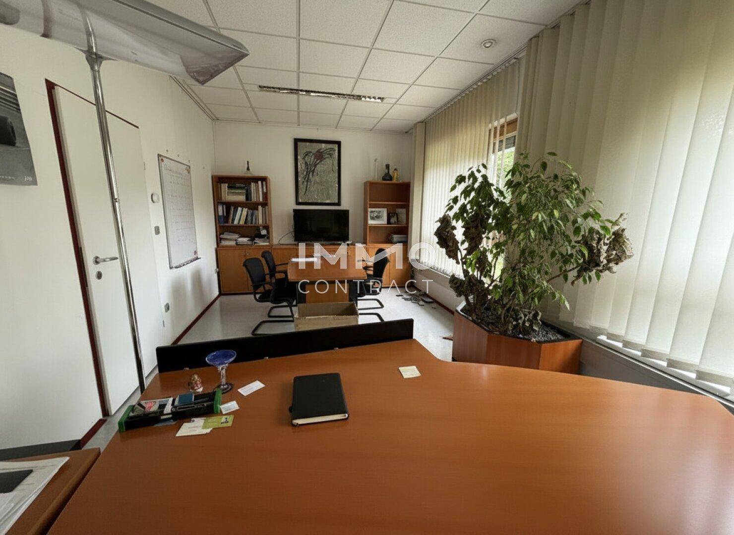 Büro mit großem Schreibtisch, Pflanzen und Regalen im Hintergrund.