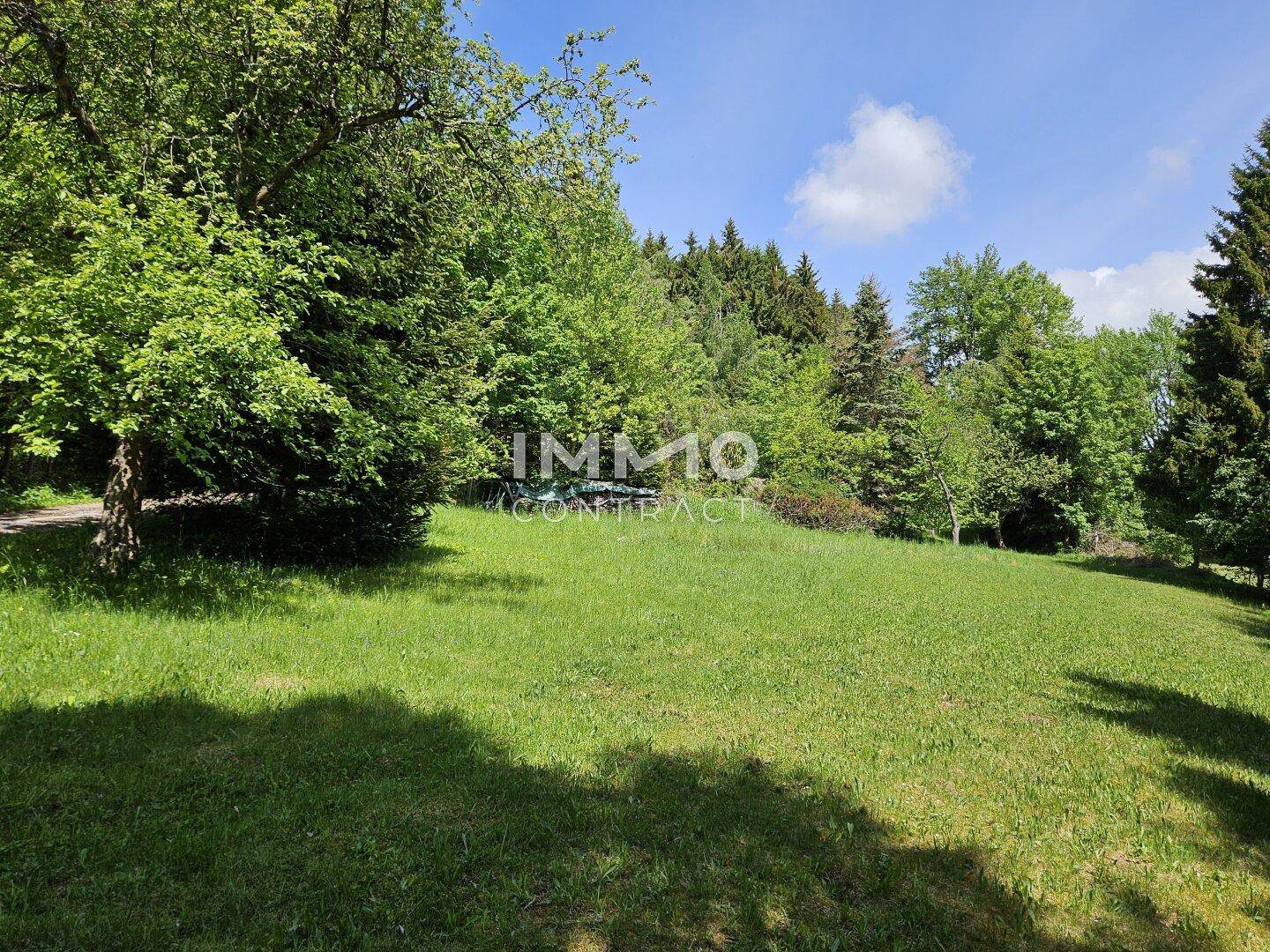 Große, offene Wiese umgeben von Bäumen, die viel Platz und eine grüne Aussicht bietet.