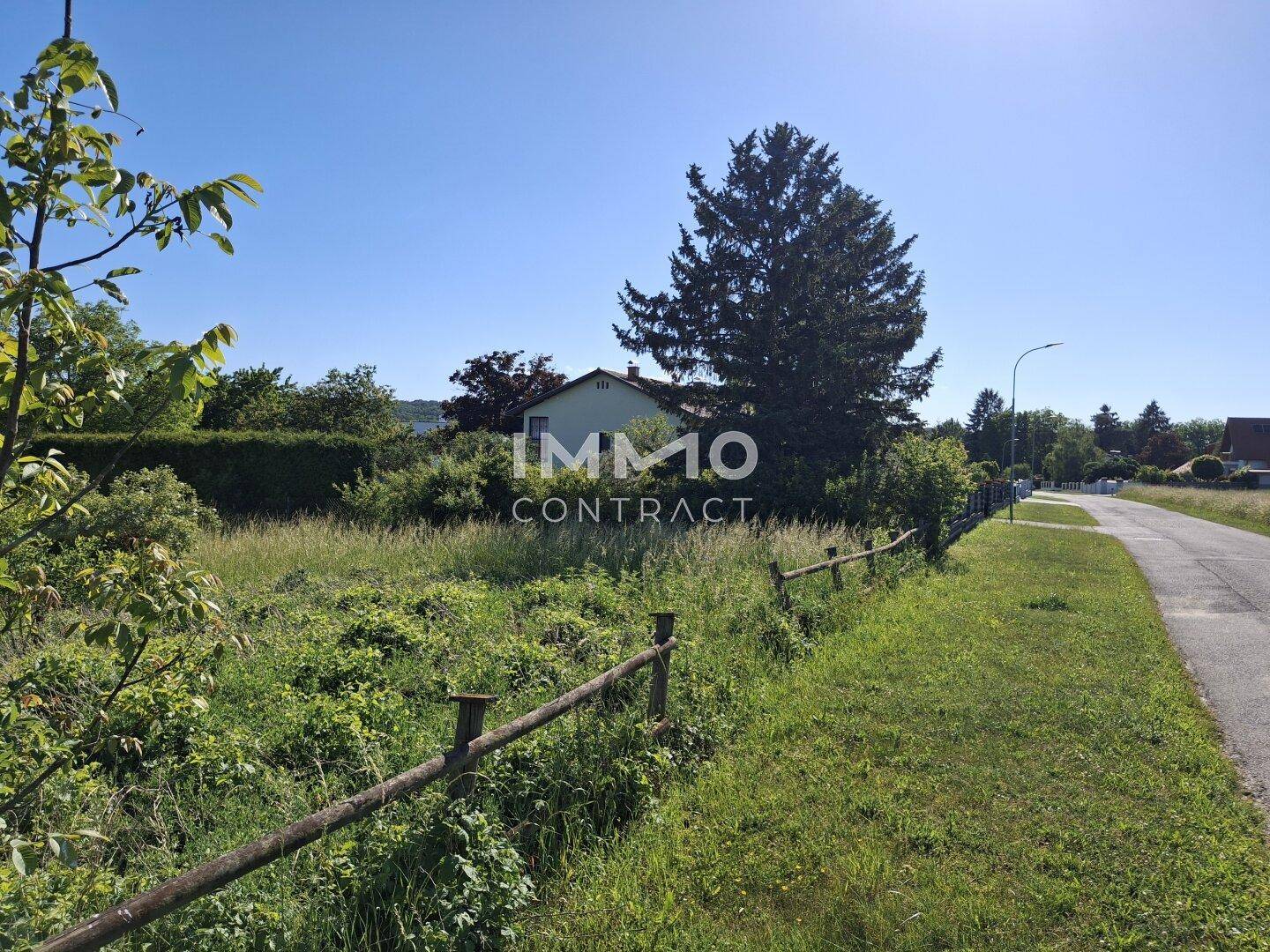 Grüne Wiese neben einer Landstraße mit einem Haus und Bäumen im Hintergrund an einem sonnigen Tag.