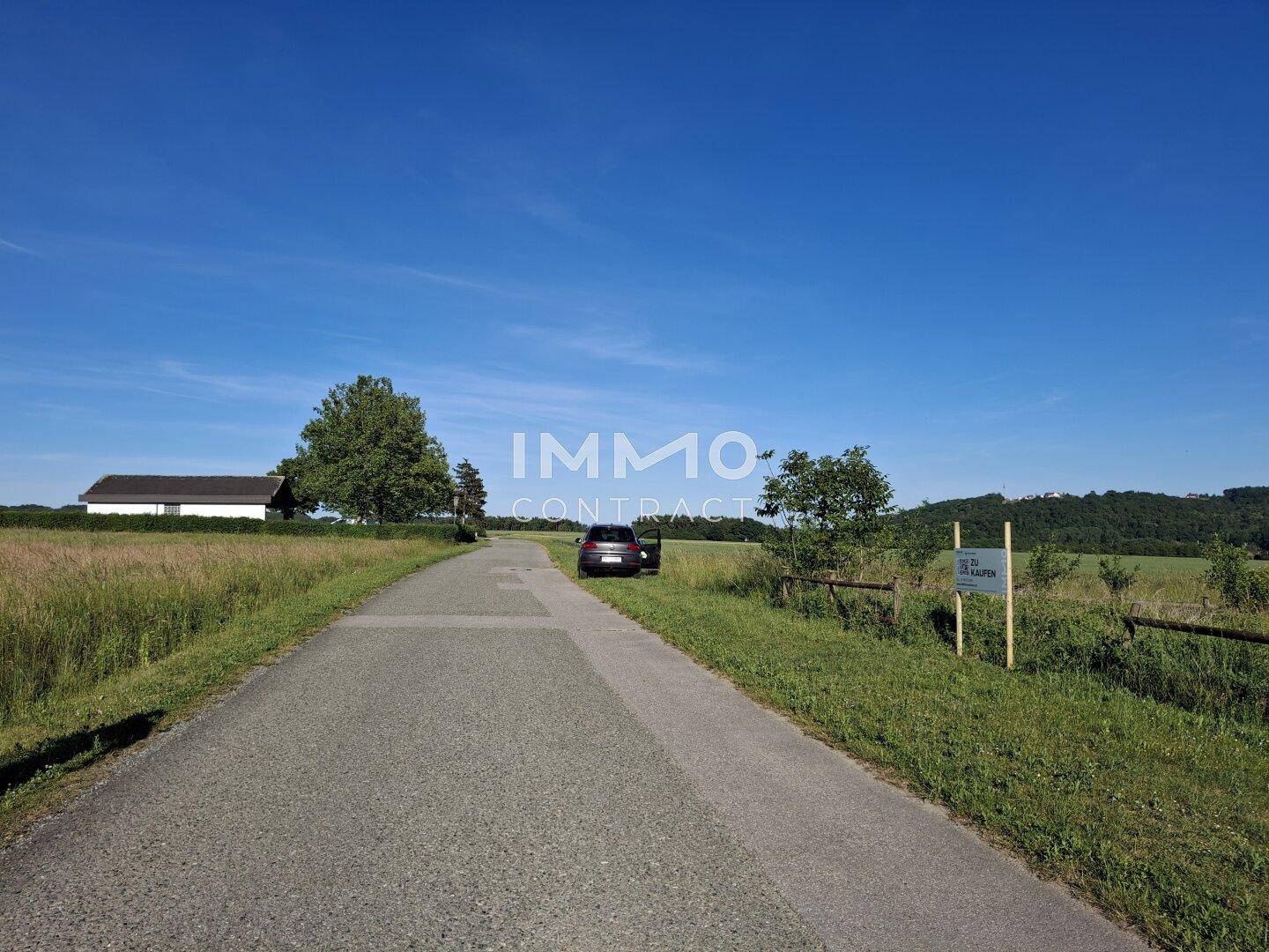Landstraße führt durch grüne Felder zu einem Haus, mit einem "ZU KAUFEN" Schild am Wegesrand.