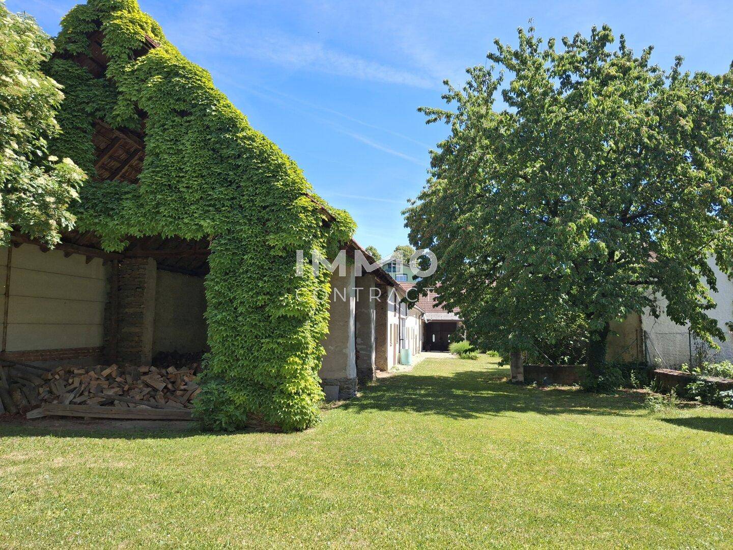Weitläufiger Garten mit üppigem Grün, altem Baumbestand und bewachsenem Nebengebäude.
