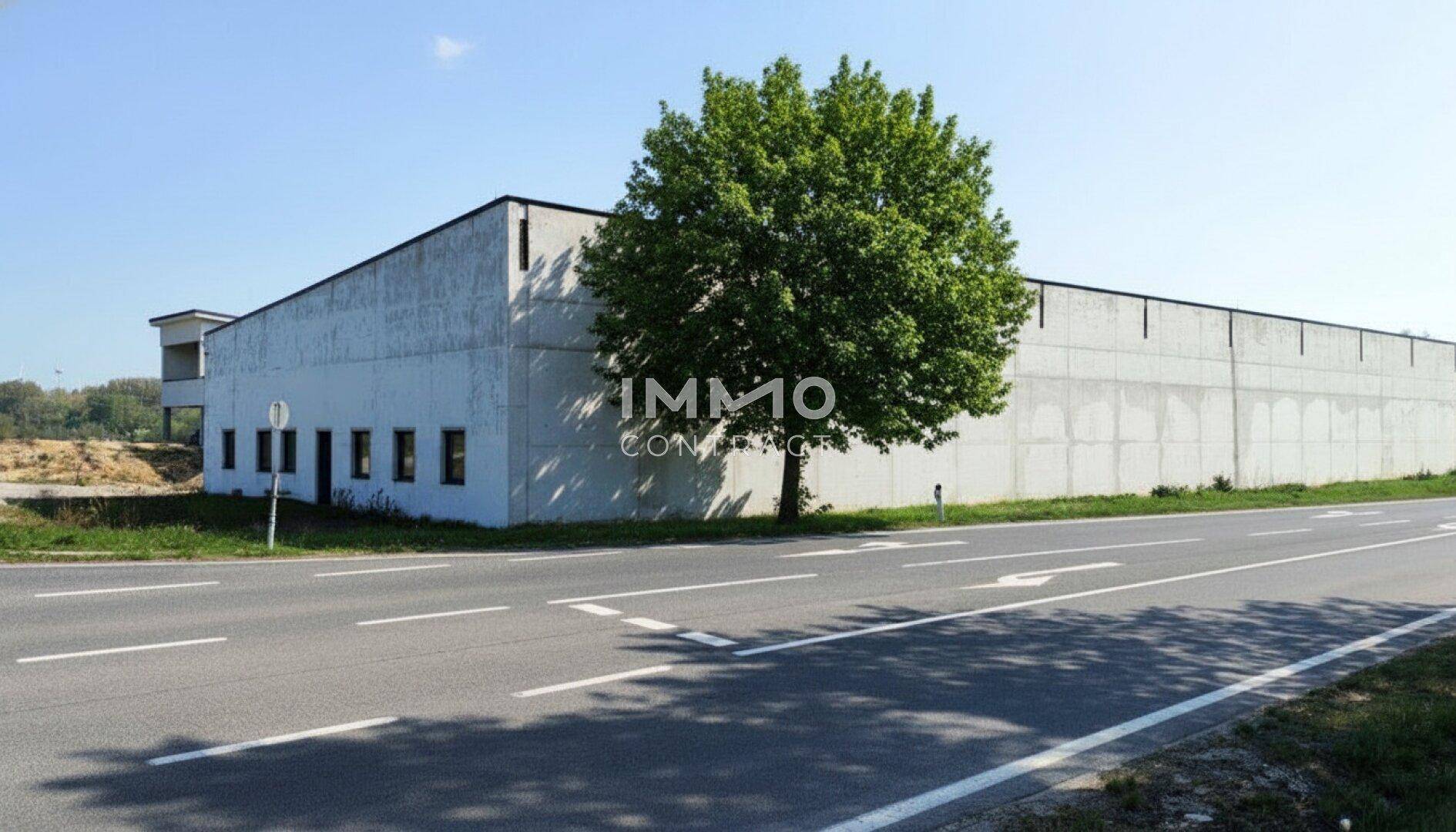 Außenansicht der großen Industriehalle von der Straße aus, umgeben von einem Baum.
