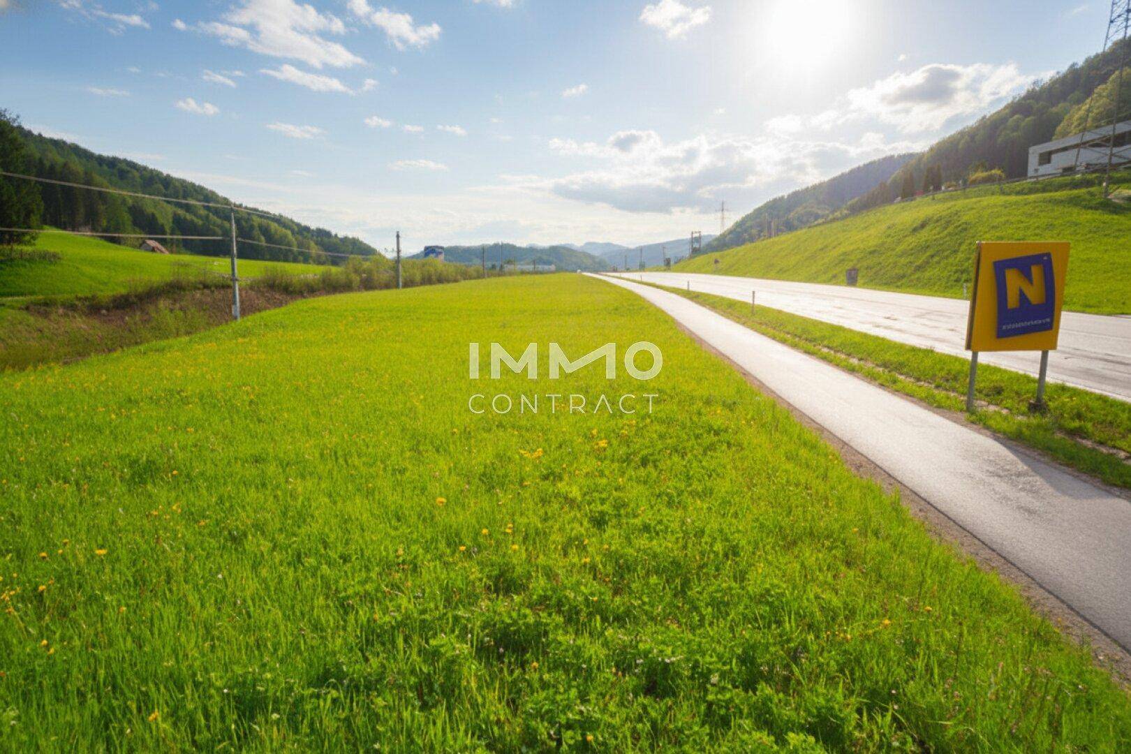 Sonnige Landschaft mit weiten grünen Wiesen, einer Straße und bewaldeten Bergen unter blauem Himmel.