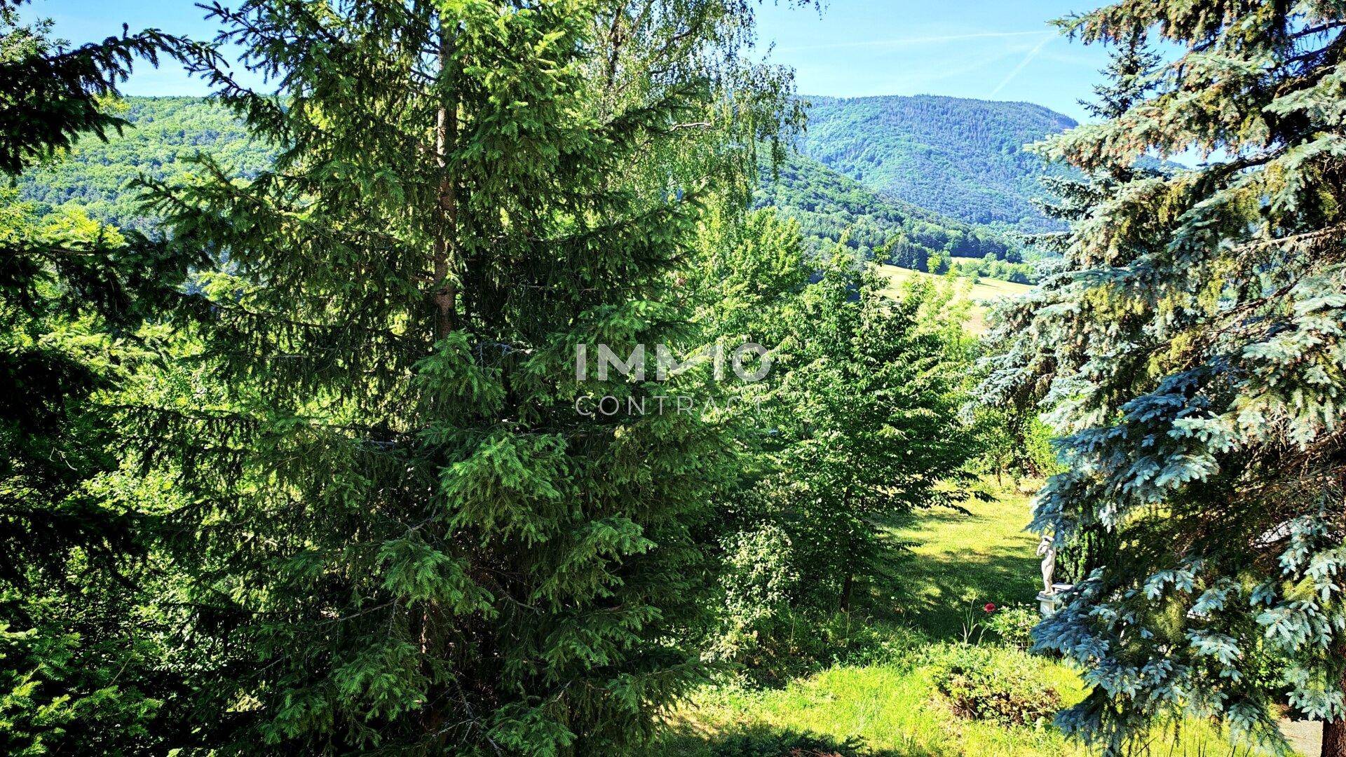 Malerischer Blick auf die grüne Landschaft mit Bäumen und fernen Bergen unter blauem Himmel.