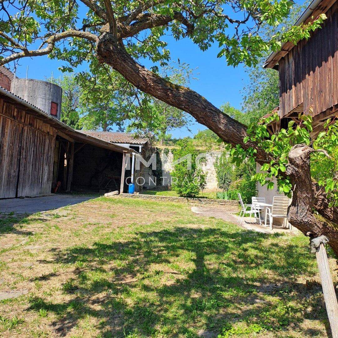 Großer Gartenbereich mit Rasenfläche, altem Baum und Sitzgelegenheiten im Freien.